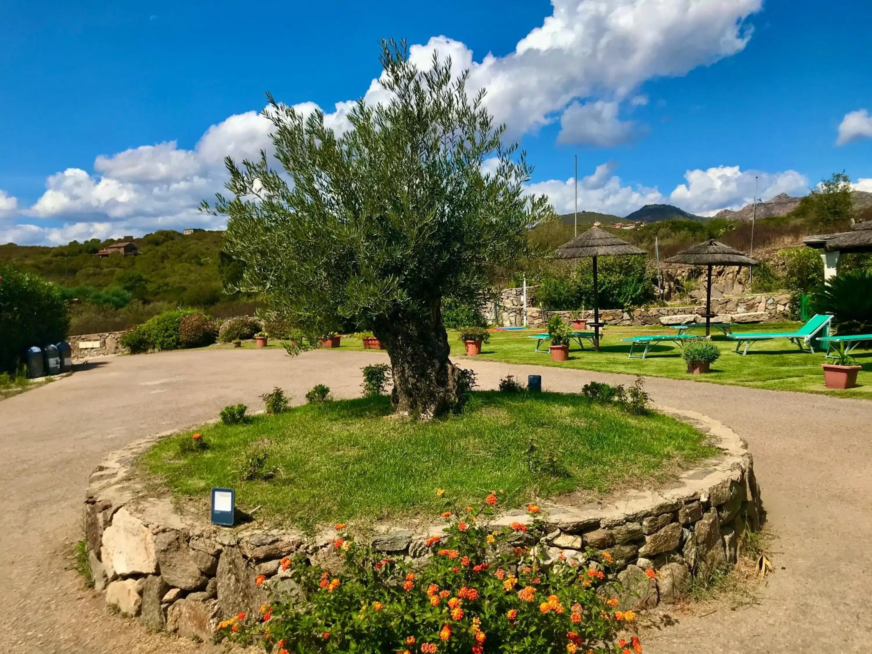 Garden in Hotel Stefania Boutique Hotel by the Beach