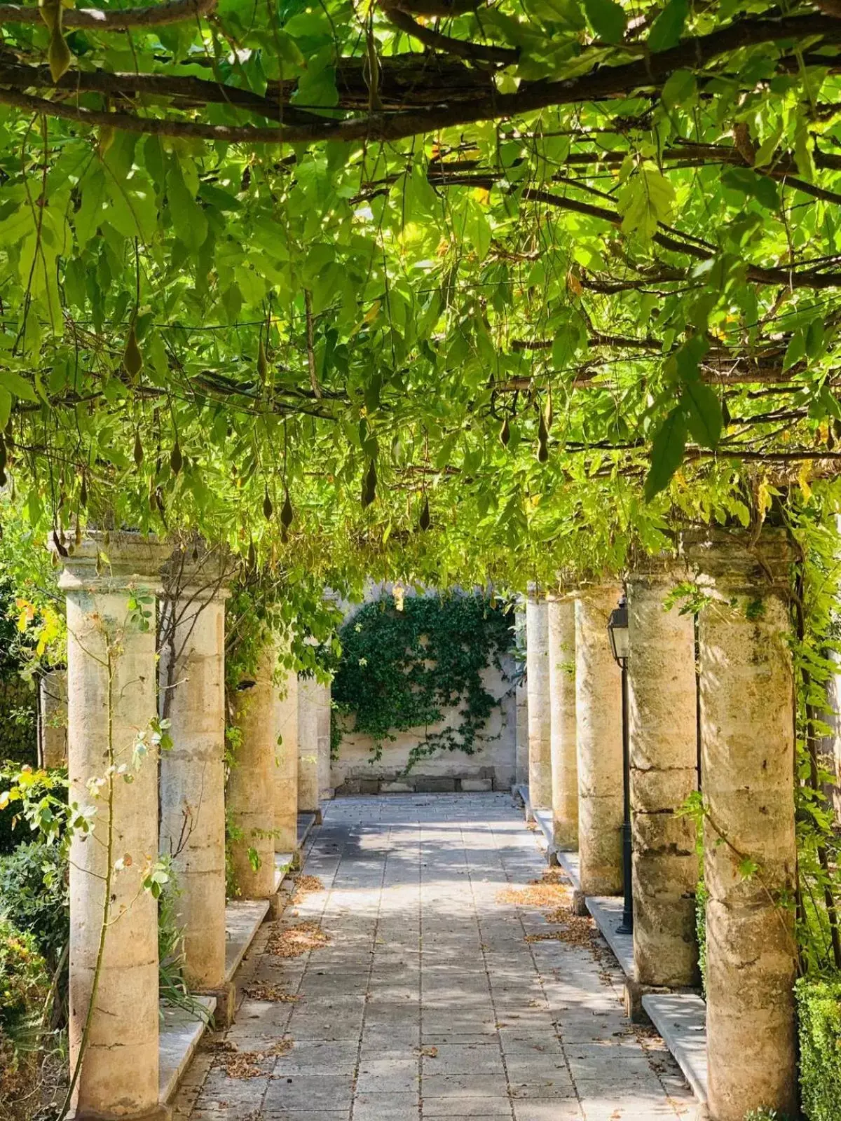 Garden in Sine Tempore B&B