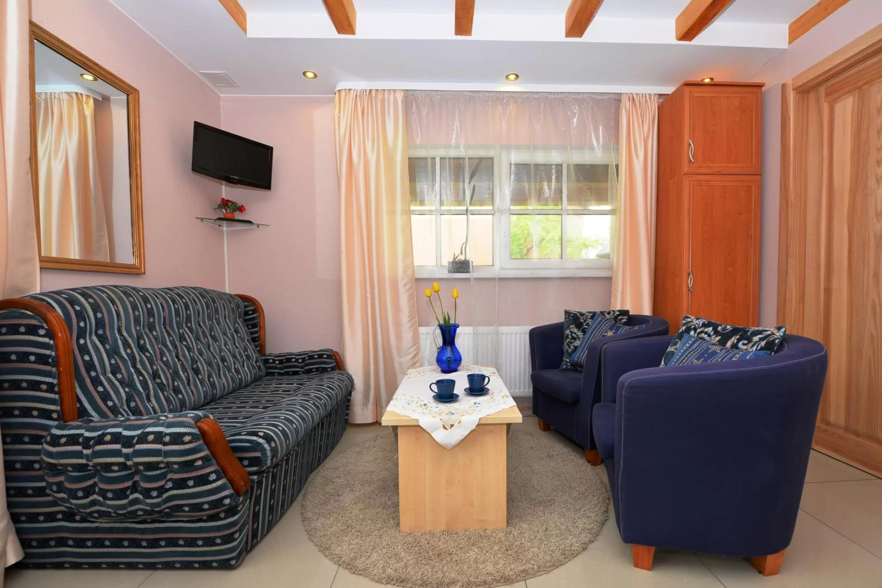 Living room in "Trakaitis" nameliai