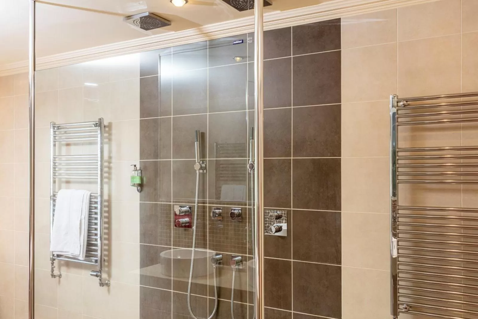 Shower in Park Farm Hotel