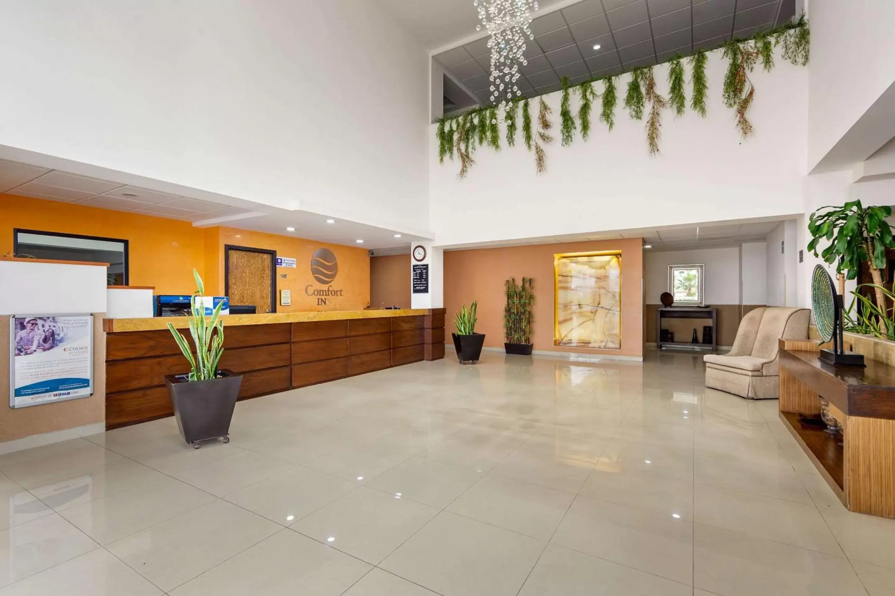 Lobby or reception, Lobby/Reception in Comfort Inn Chihuahua