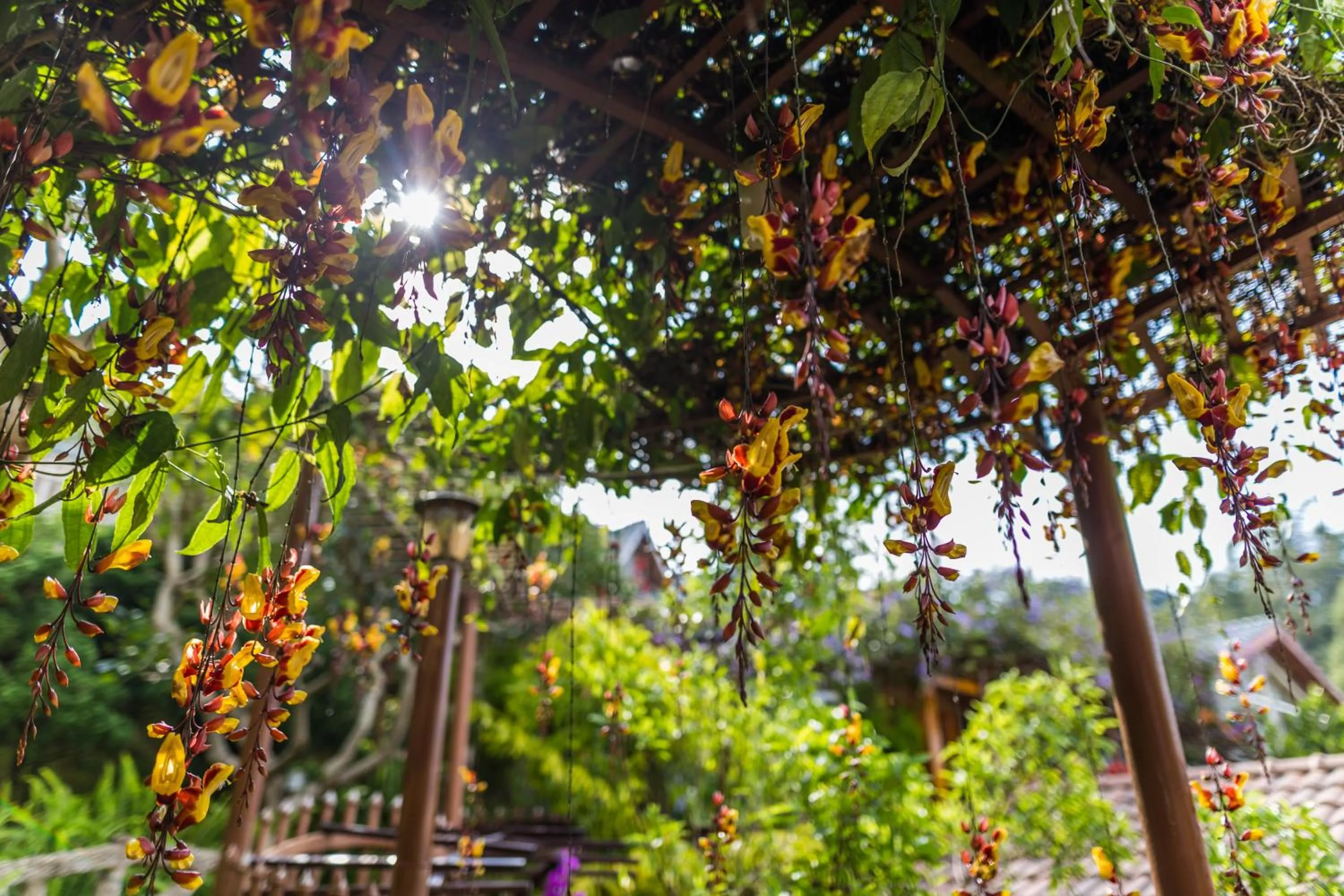 Garden in Zen Valley Dalat
