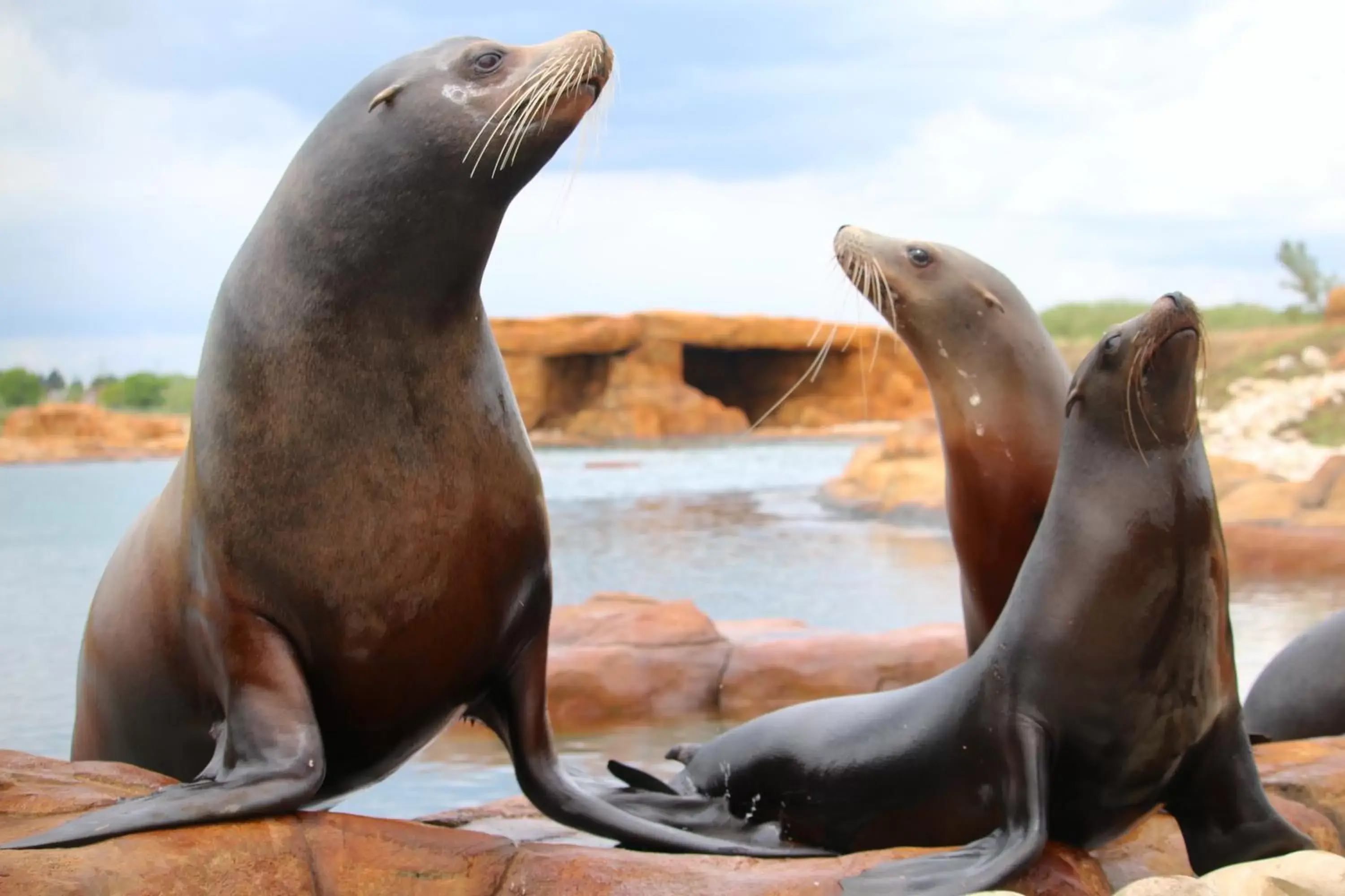 Nearby landmark, Other Animals in Hex Wildlife Hotel at Yorkshire Wildlife Park