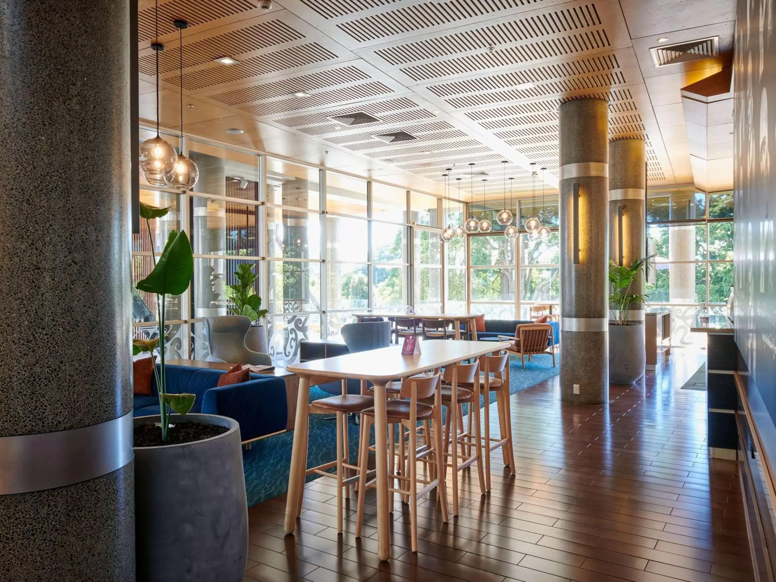 Lounge or bar, Restaurant/Places to Eat in Novotel Tainui Hamilton