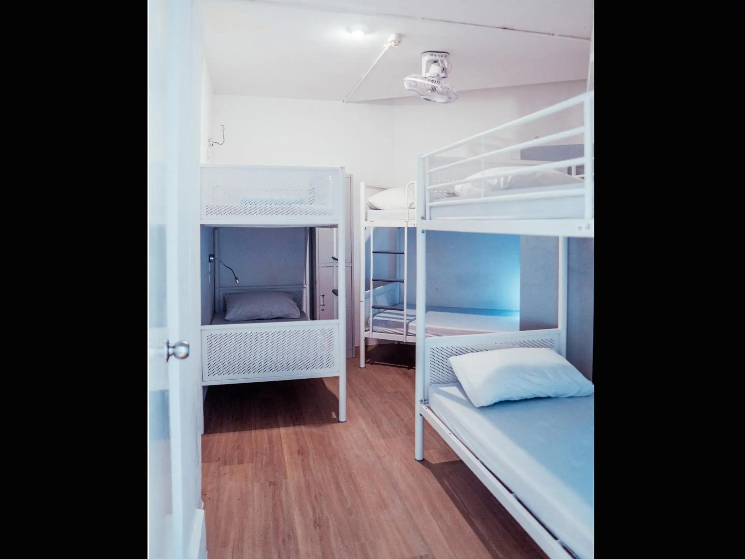 Photo of the whole room, Bunk Bed in BEAT. Sports Hostel