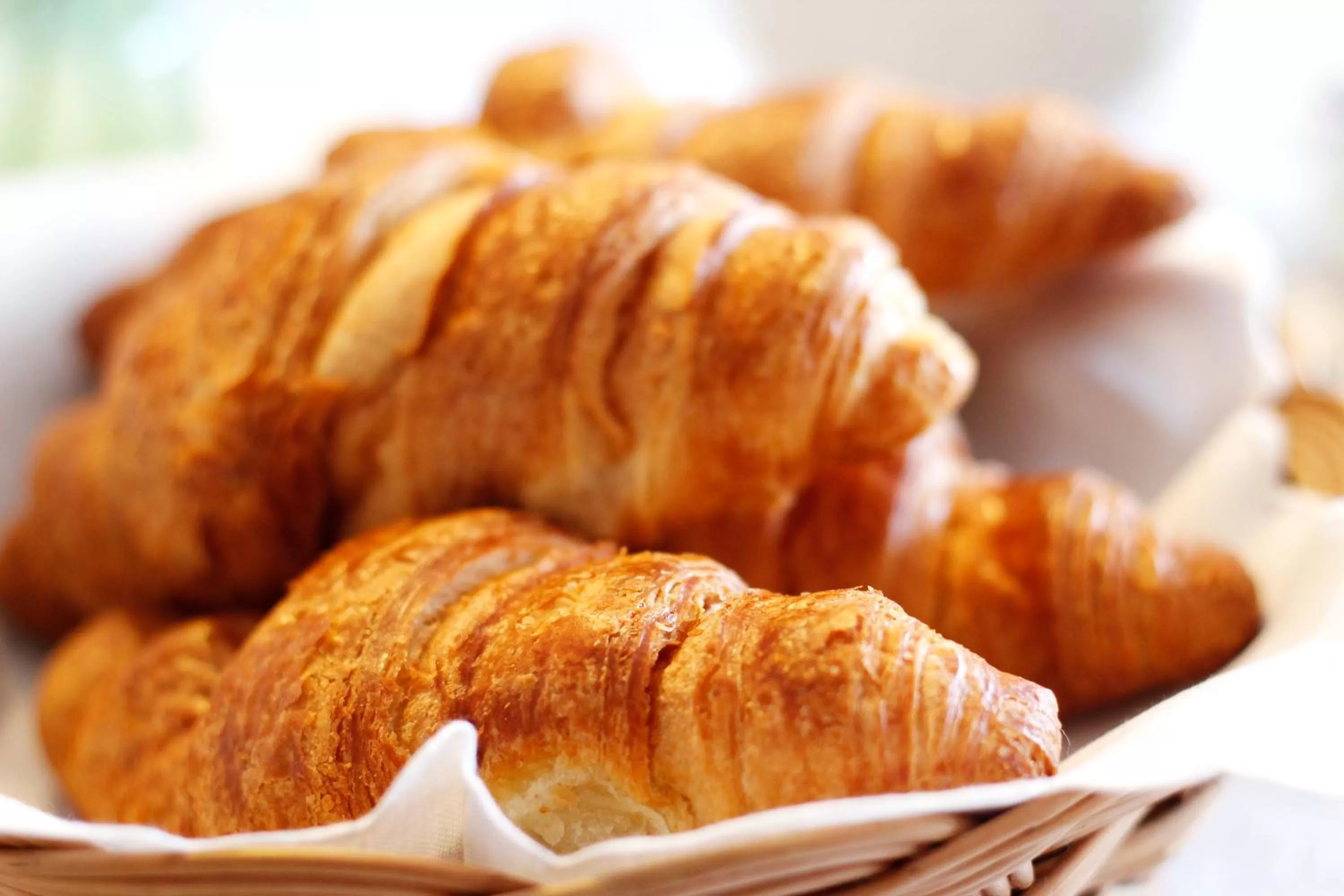 Food in Magnolia Guesthouse