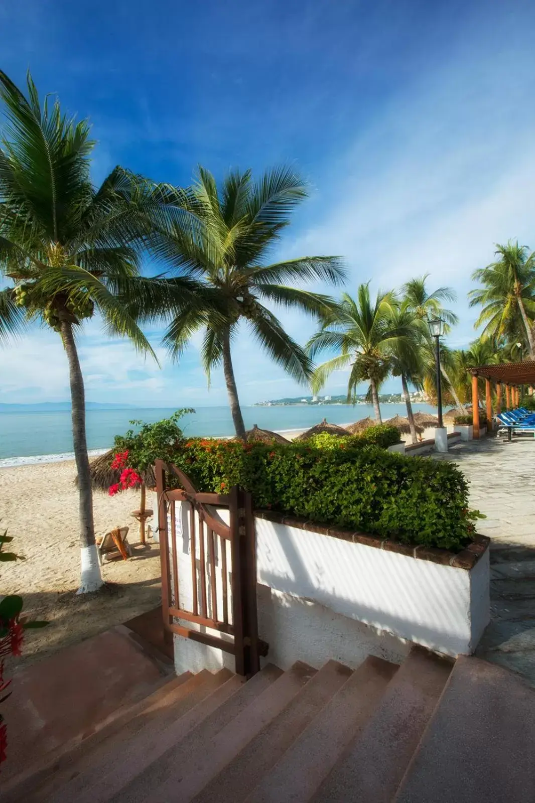 Beach in Vista Vallarta All Suites On The Beach