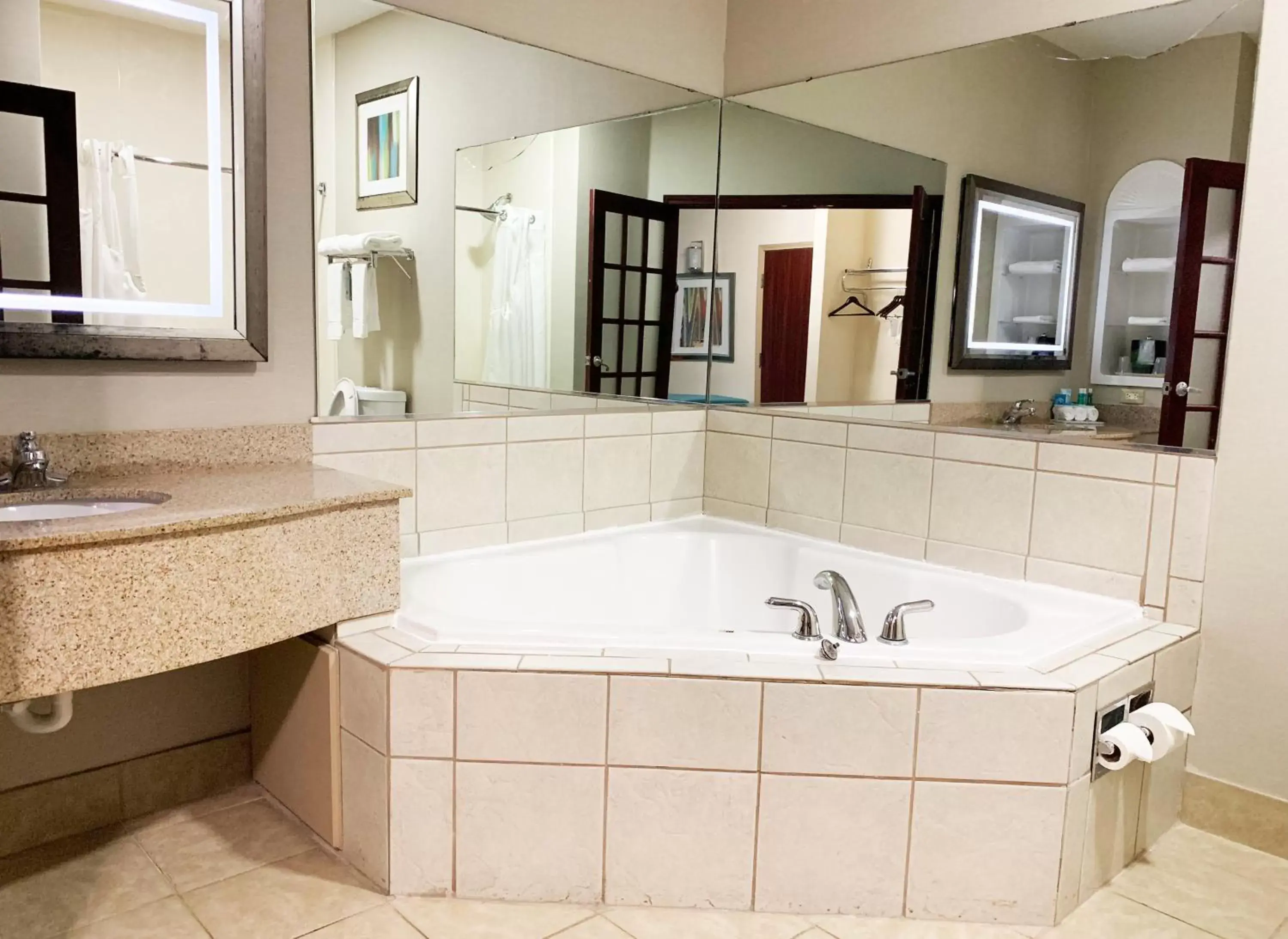 Photo of the whole room, Bathroom in Holiday Inn Express Hotel & Suites Gainesville, an IHG Hotel