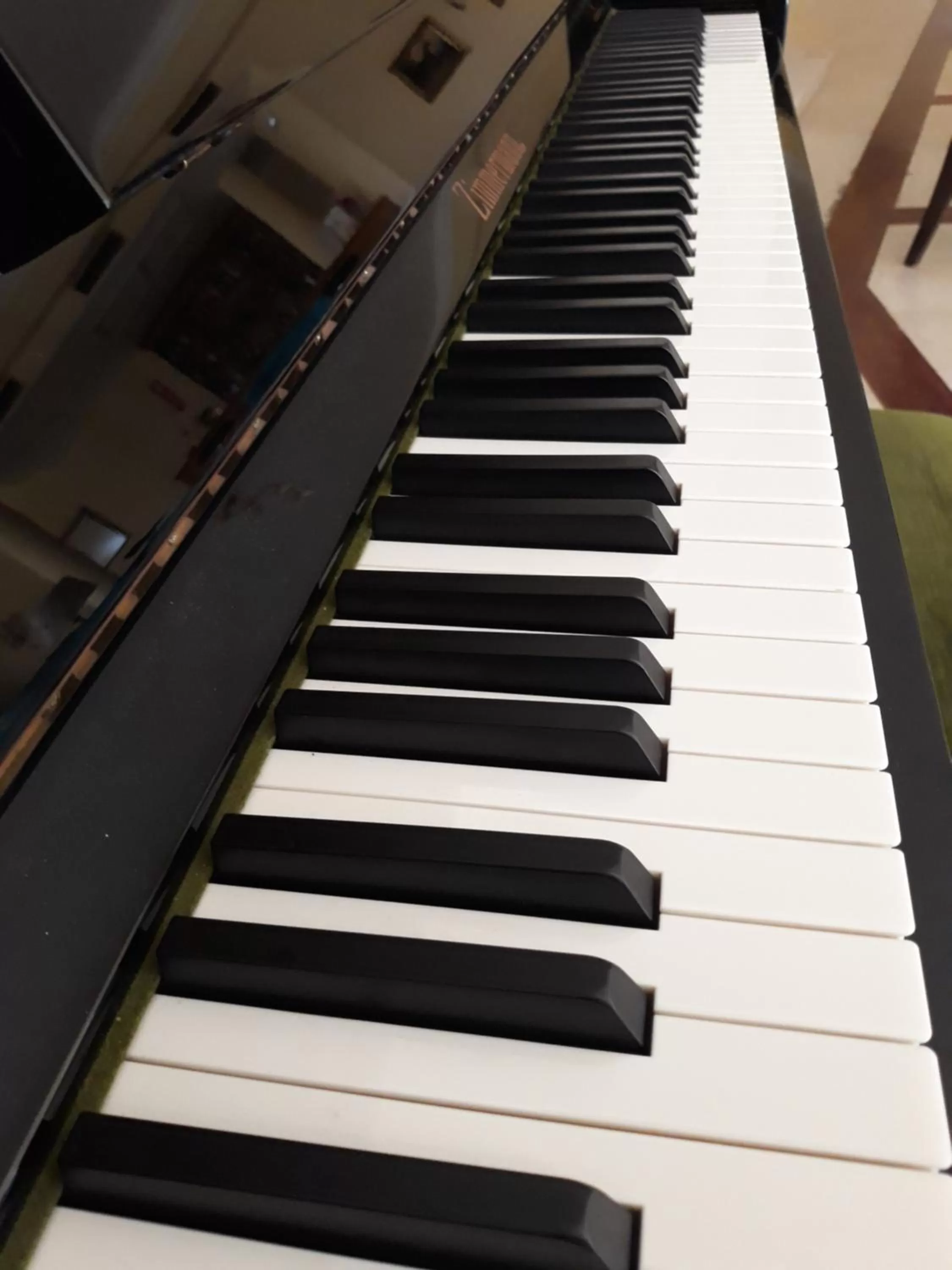 Entertainment in Hotel Dom Vasco