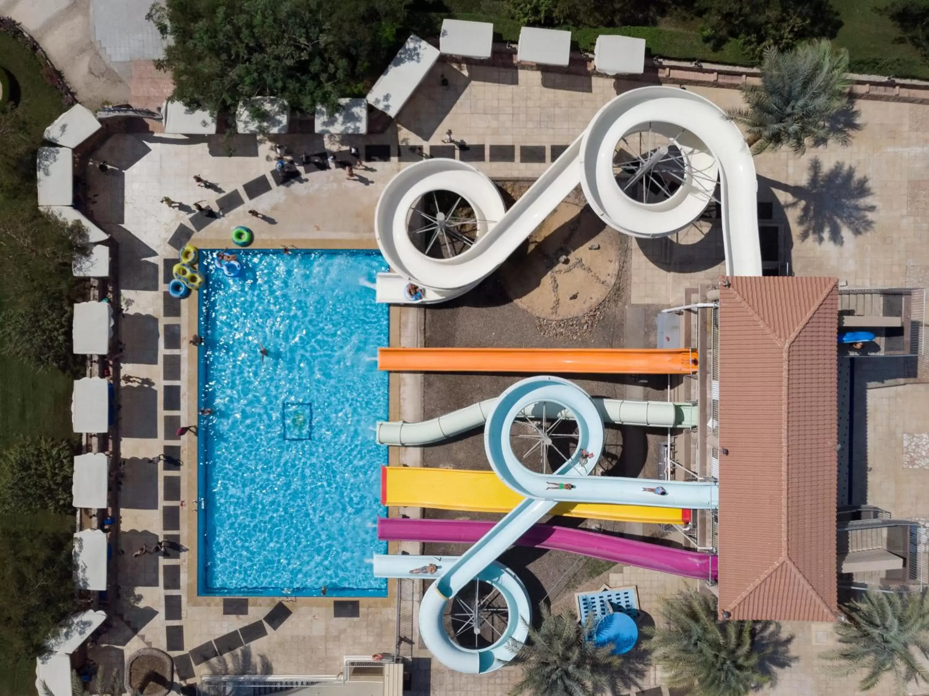 Day, Pool View in Desert Rose Resort