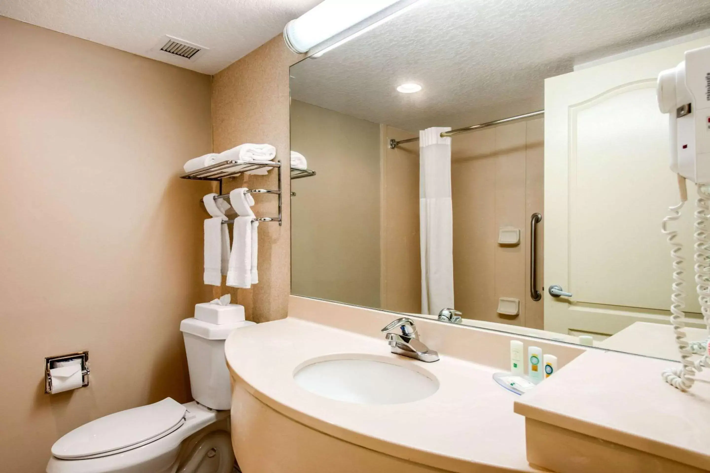 Bedroom, Bathroom in Quality Inn & Suites Tarpon Springs South