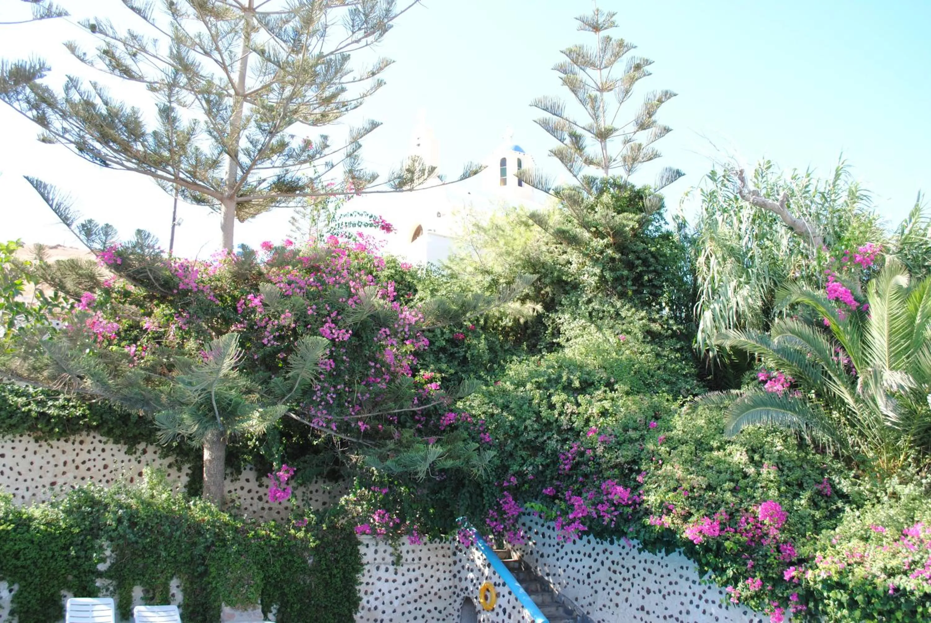Garden in Porto Castello