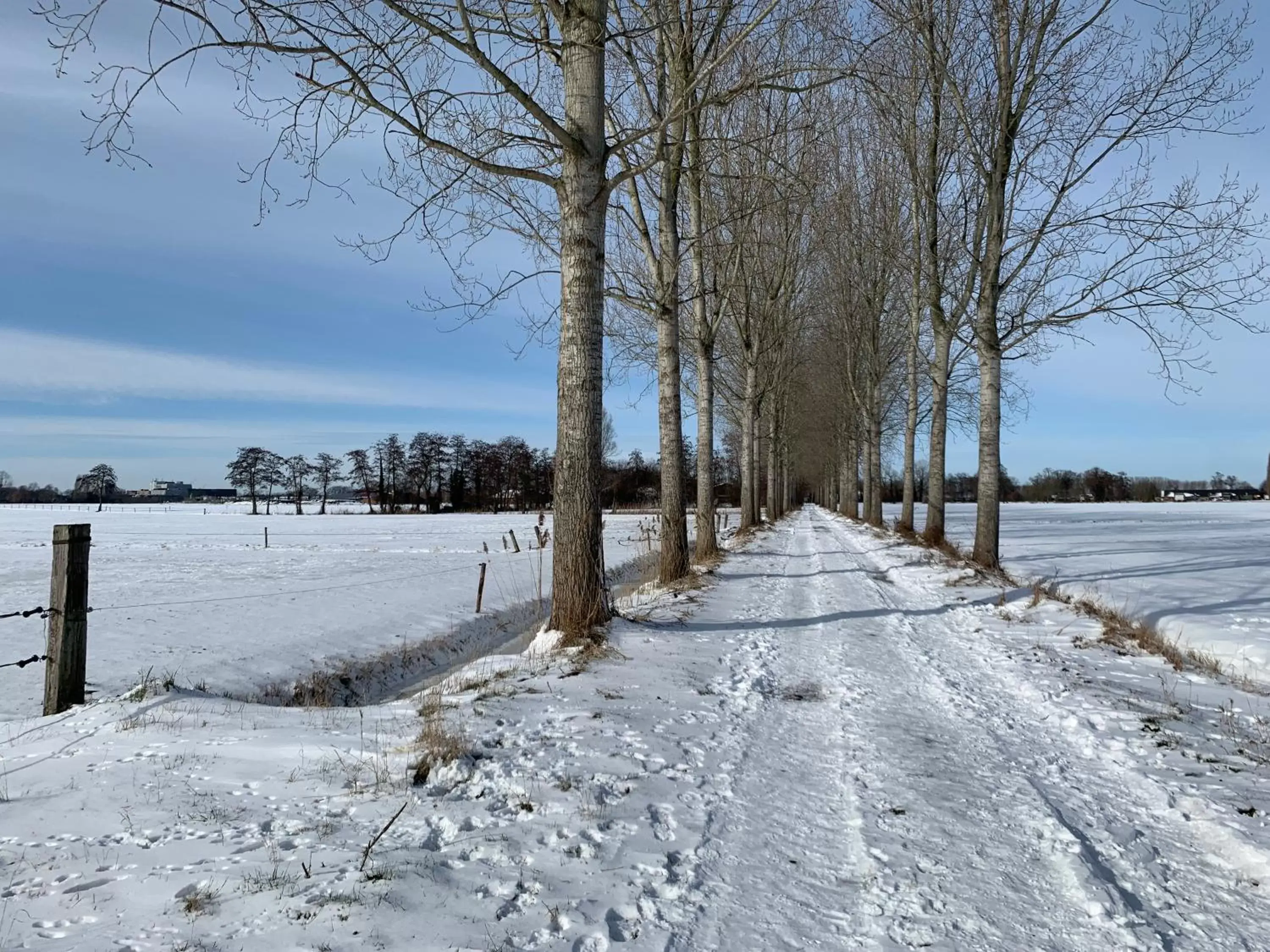 Natural landscape, Winter in B&B OP3 Aarle-Rixtel