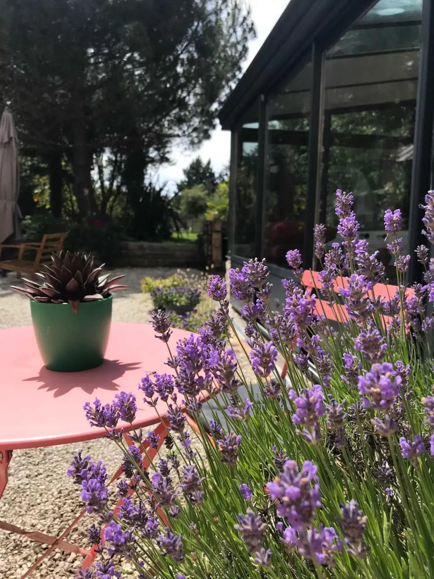 Garden in Le mas Normand