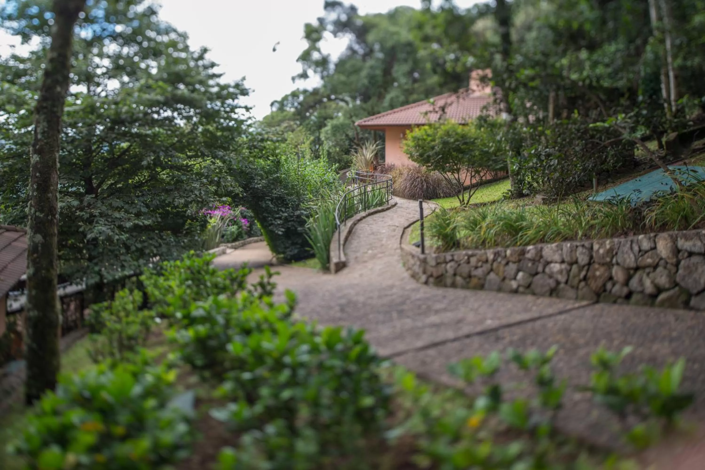 Garden in Kuriuwa Hotel