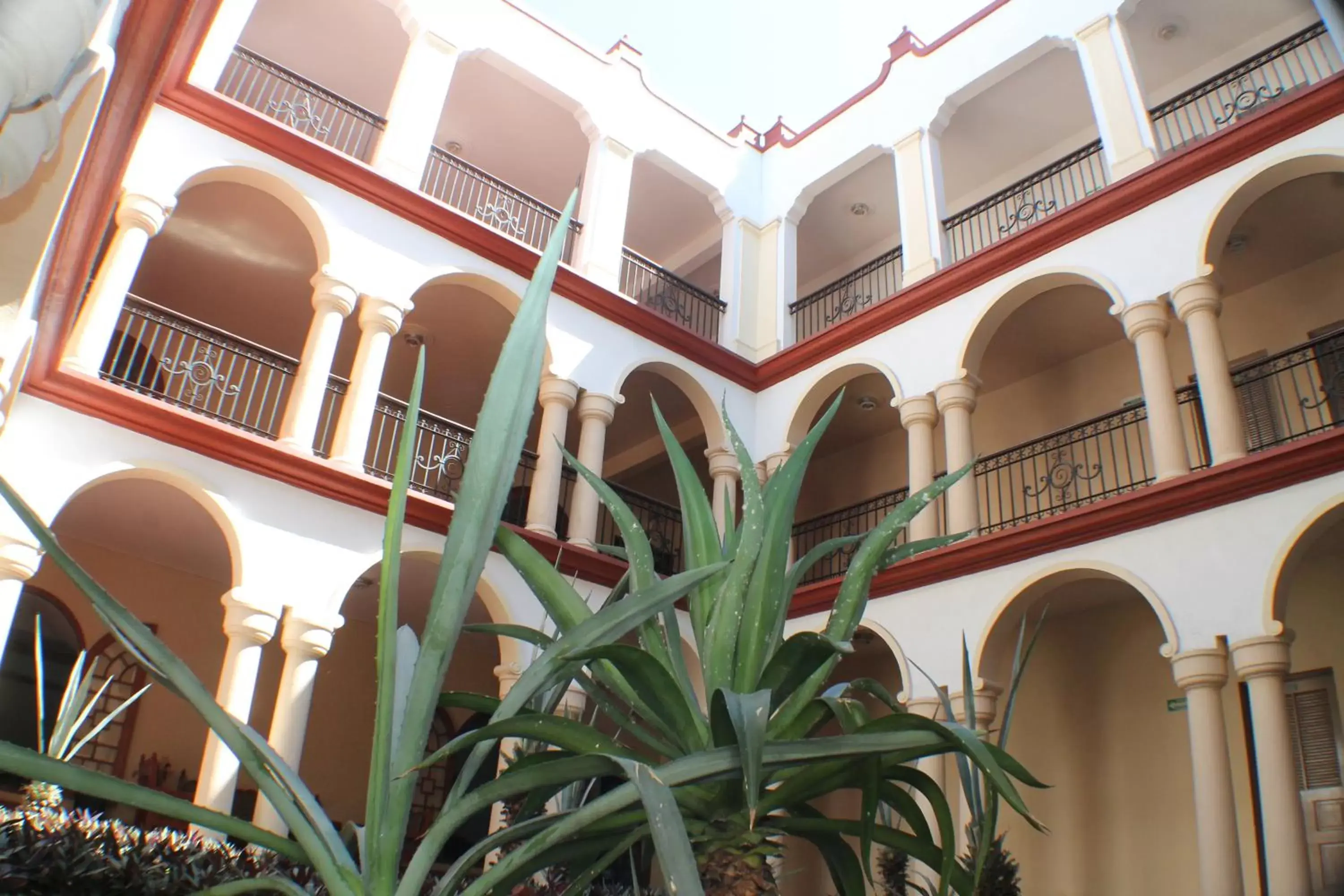 Area and facilities, Property Building in Hotel Los Monteros