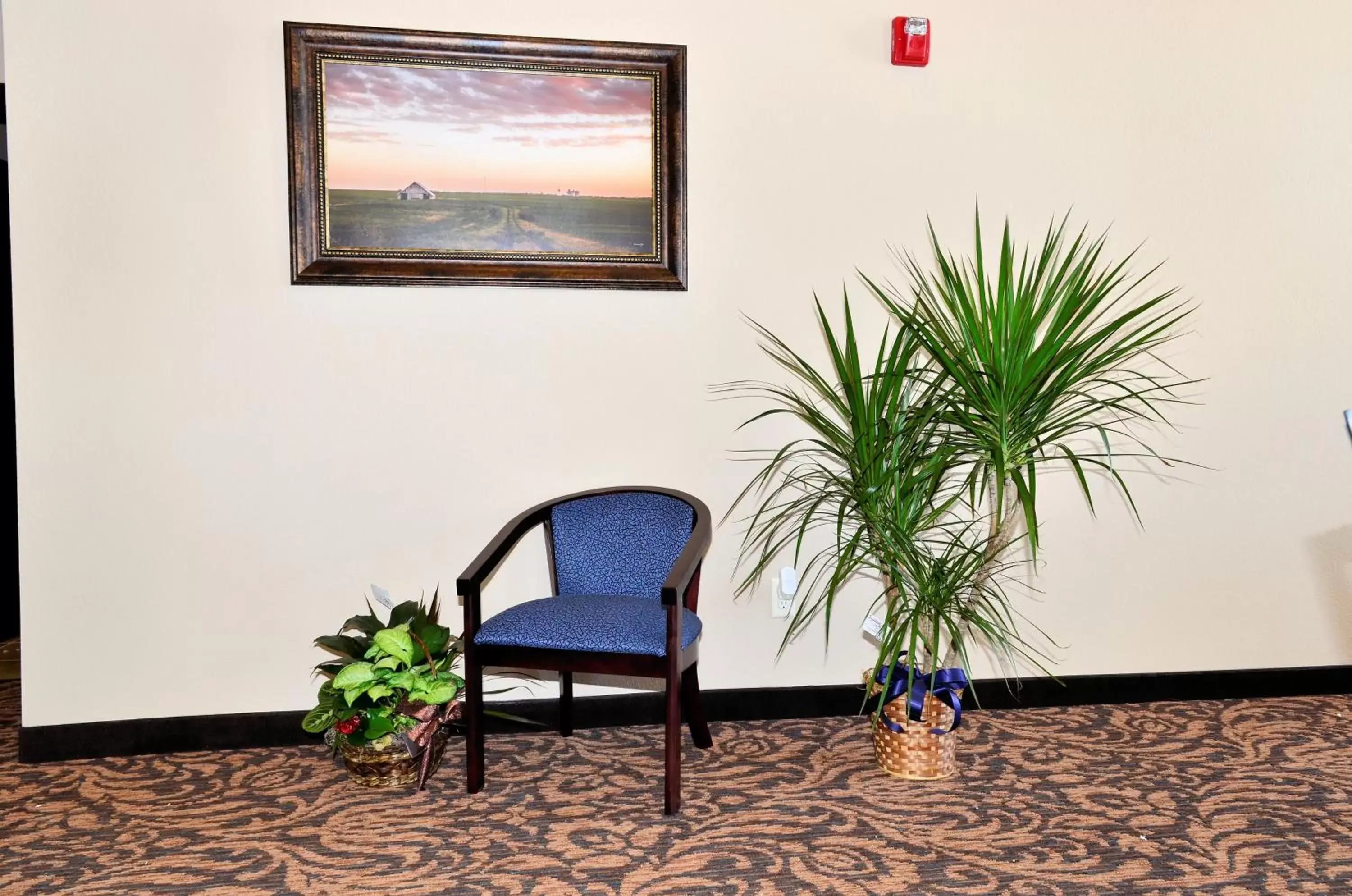 Lobby or reception, Seating Area in Cobblestone Inn & Suites - Holstein