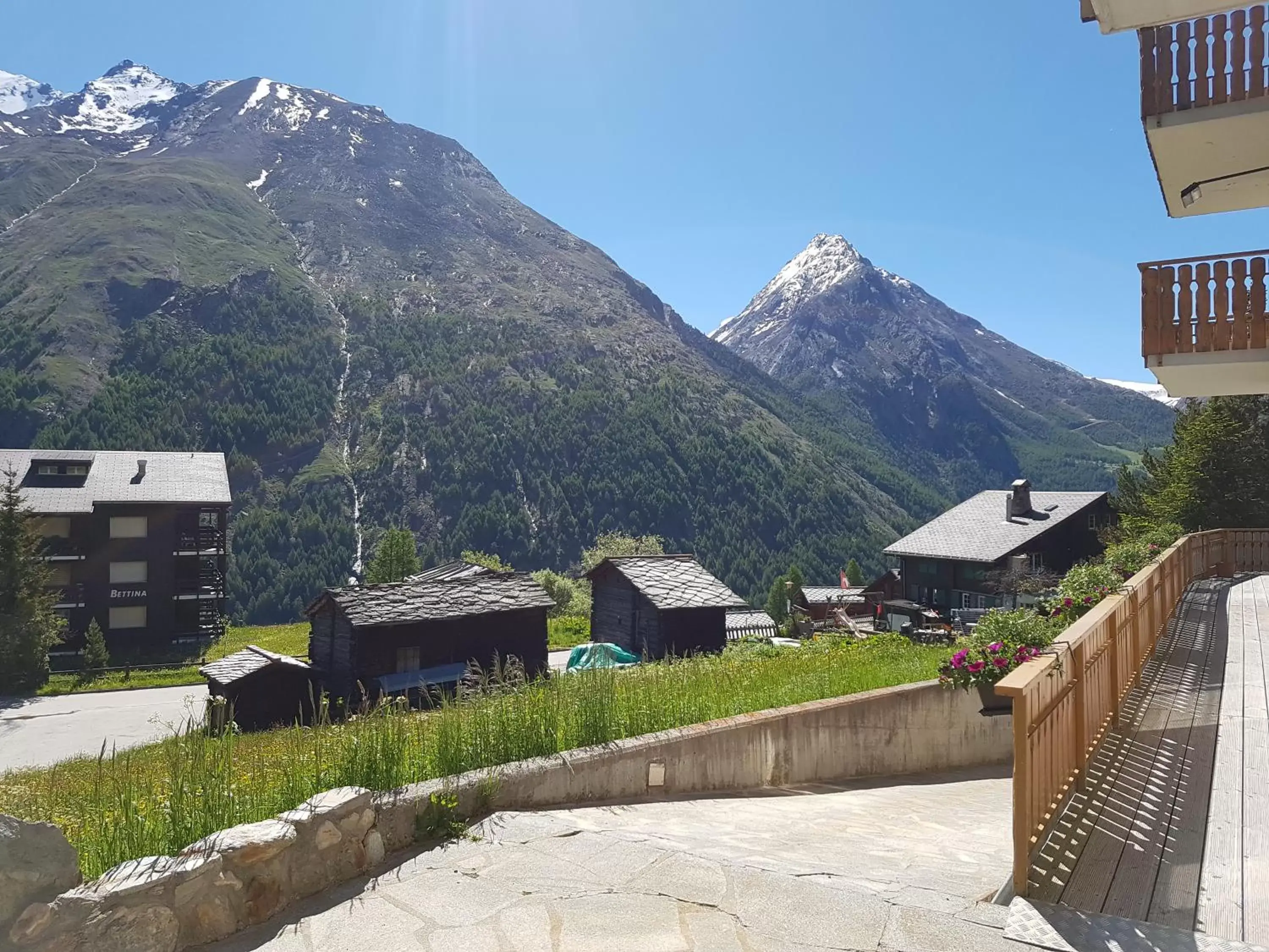 Mountain View in Hotel Alpenperle