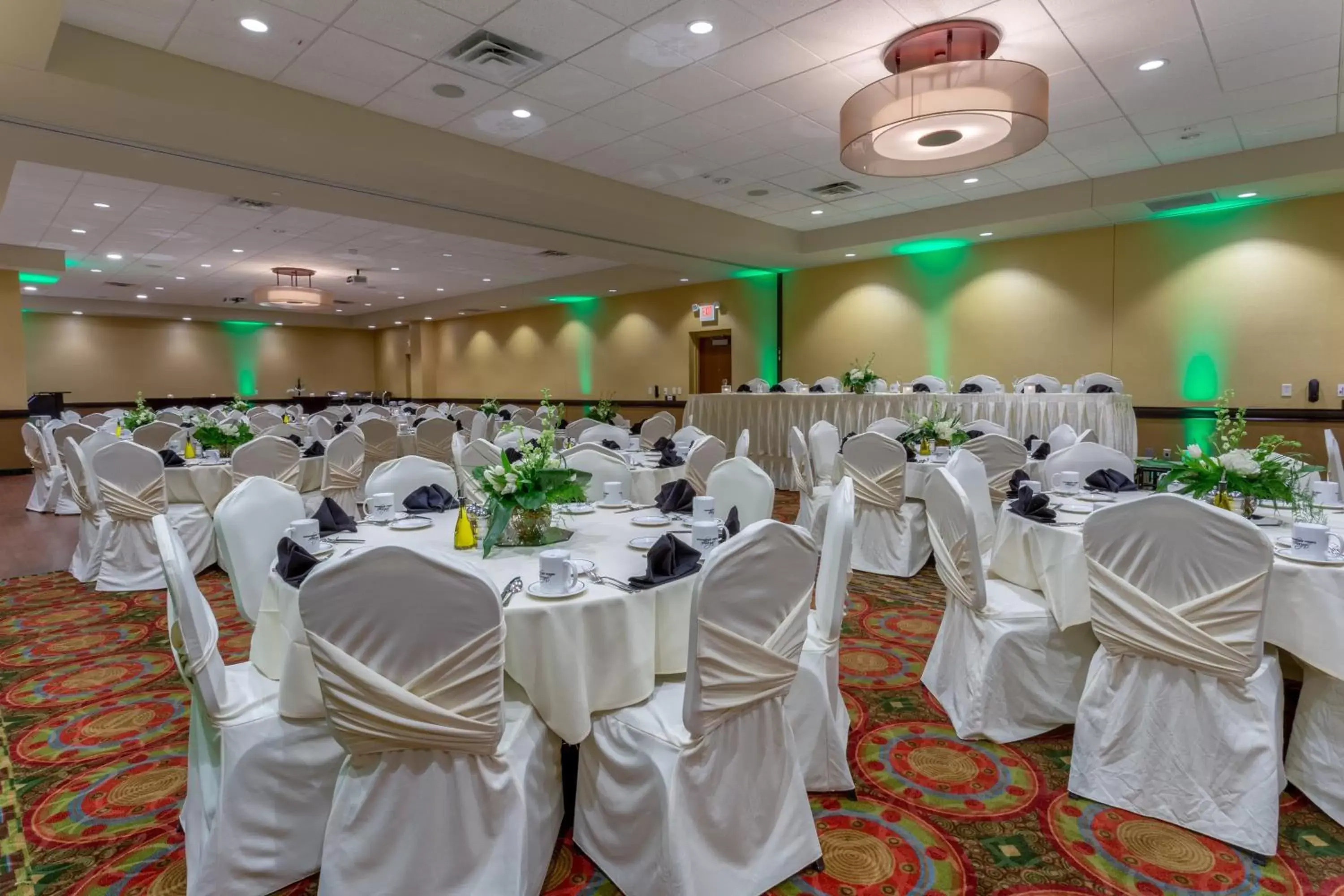 Meeting/conference room, Banquet Facilities in Holiday Inn Eau Claire South, an IHG Hotel