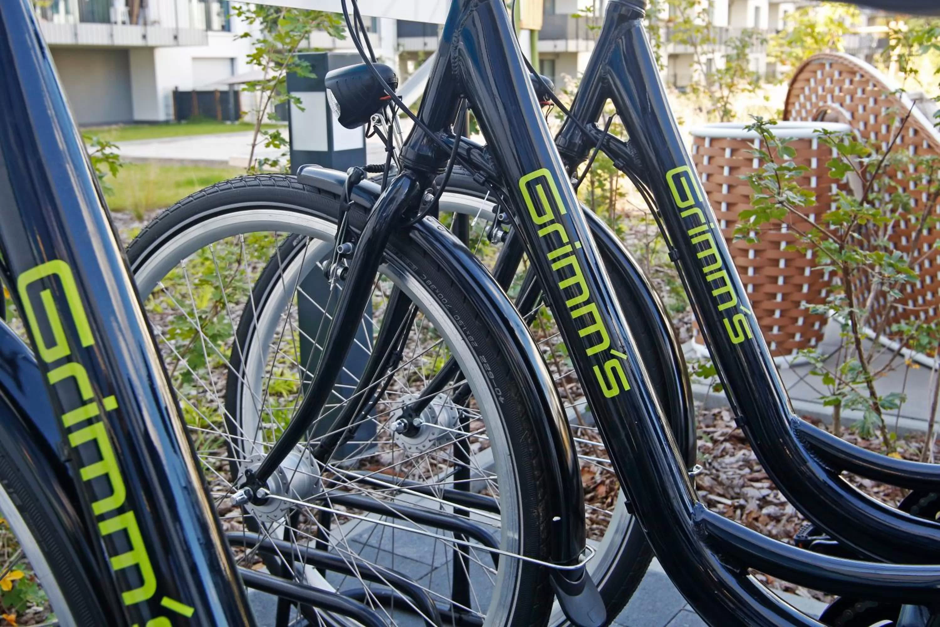 Activities in Grimm´s Berlin Potsdam