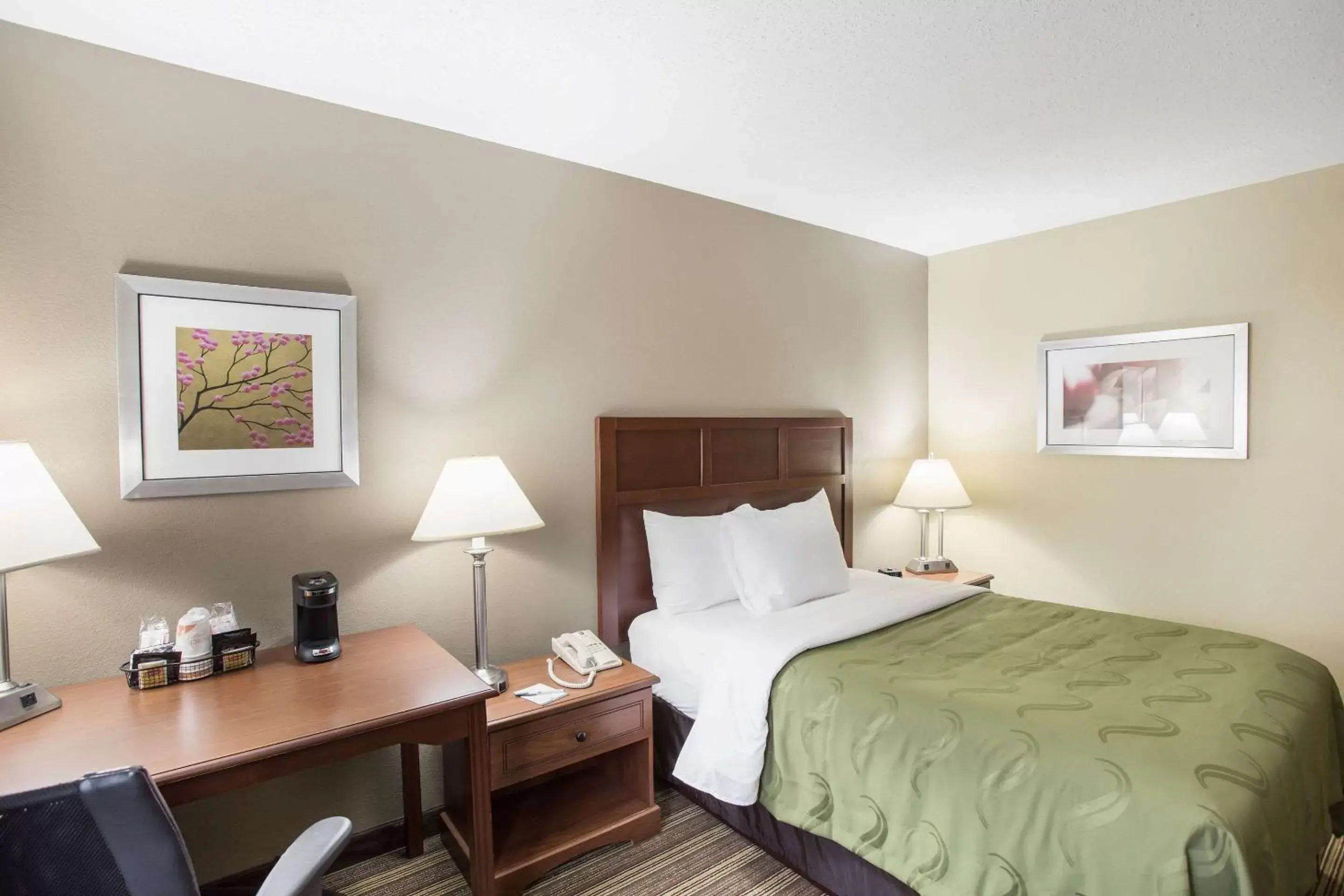 Photo of the whole room, Bed in Quality Inn Photo of the whole room, Bed in Quality Inn