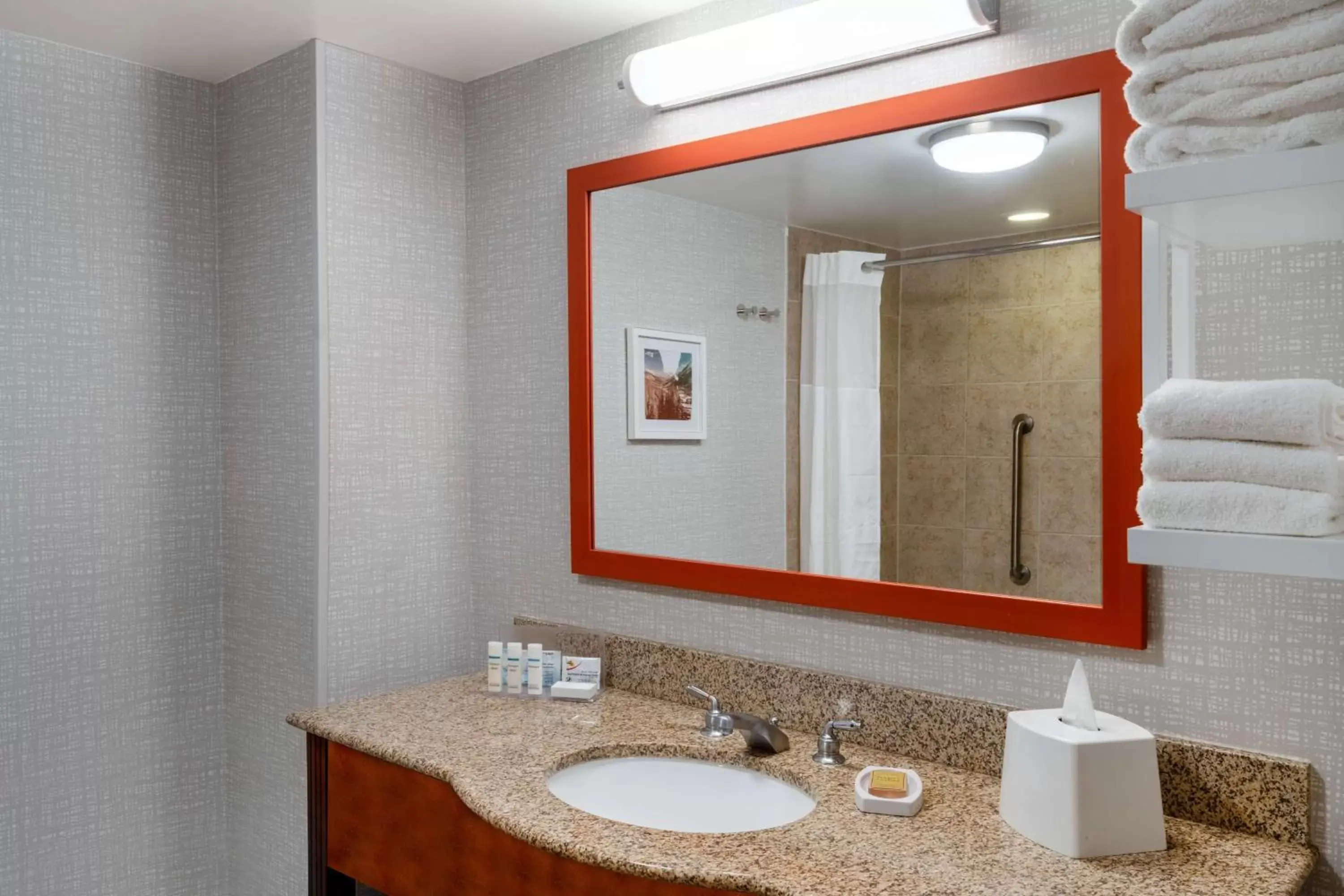 Bathroom in Hampton Inn & Suites Salida, CO