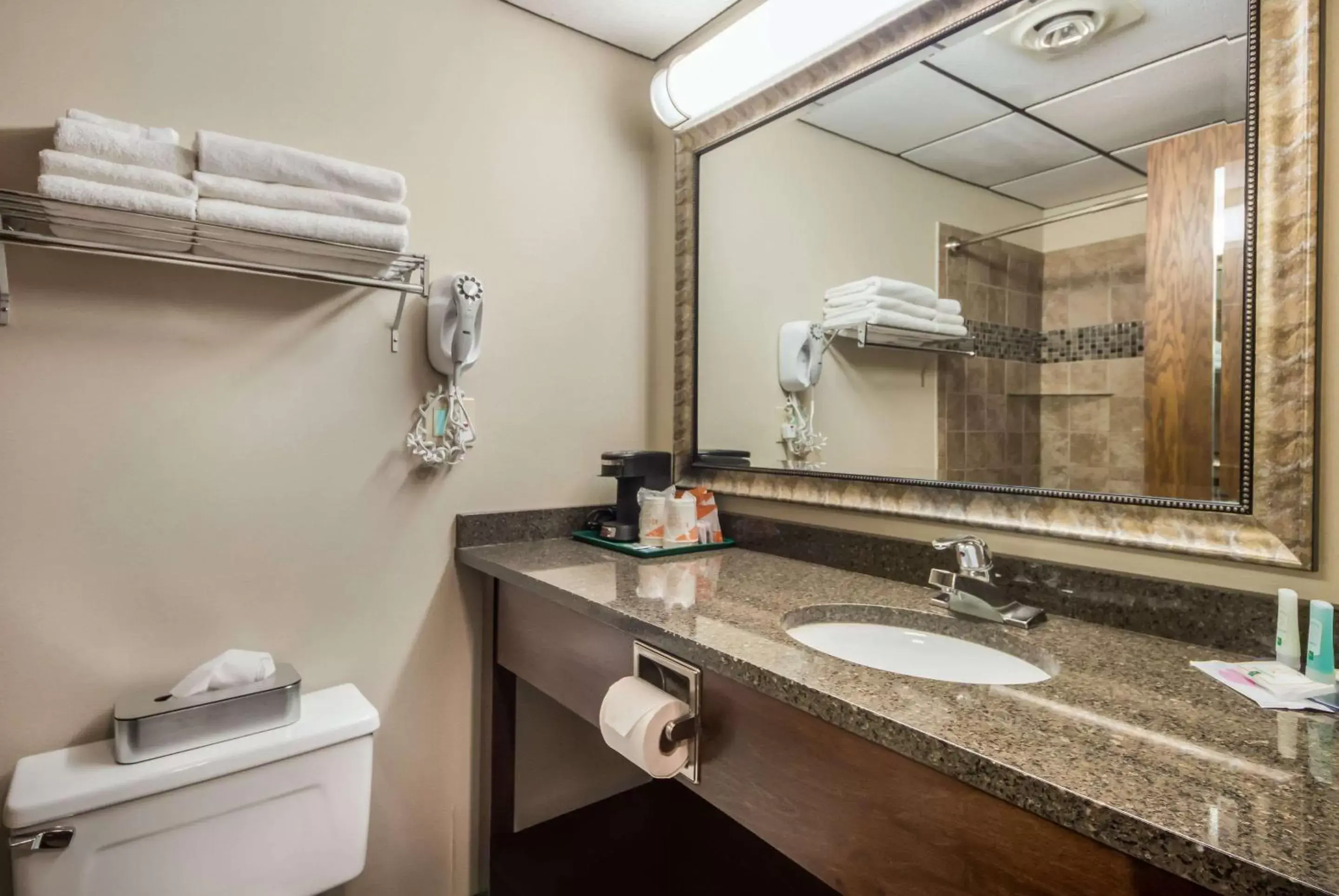 Bathroom in Quality Inn & Suites