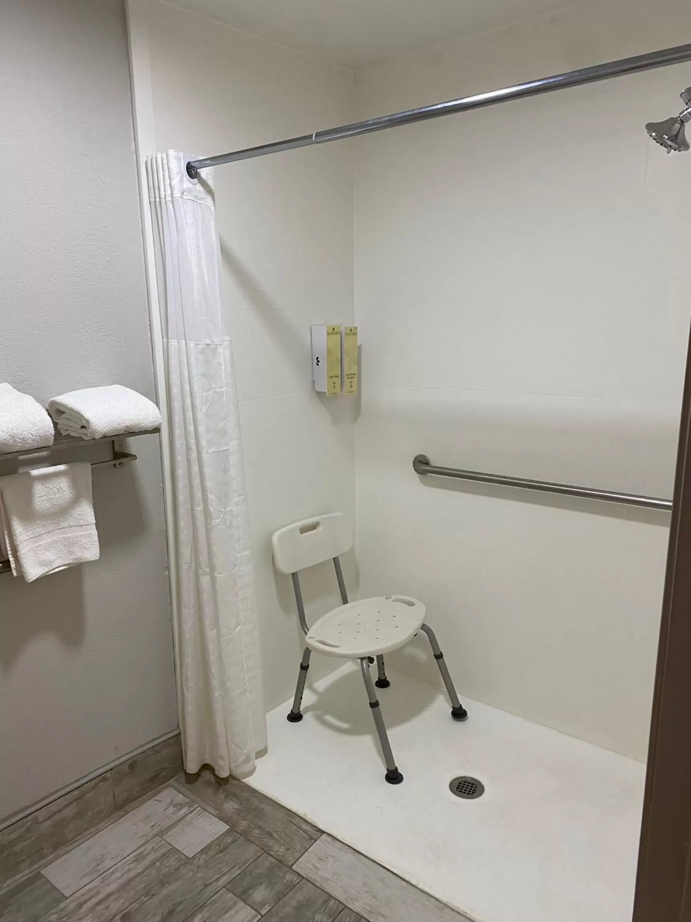 Shower, Bathroom in Best Western Allatoona Inn & Suites