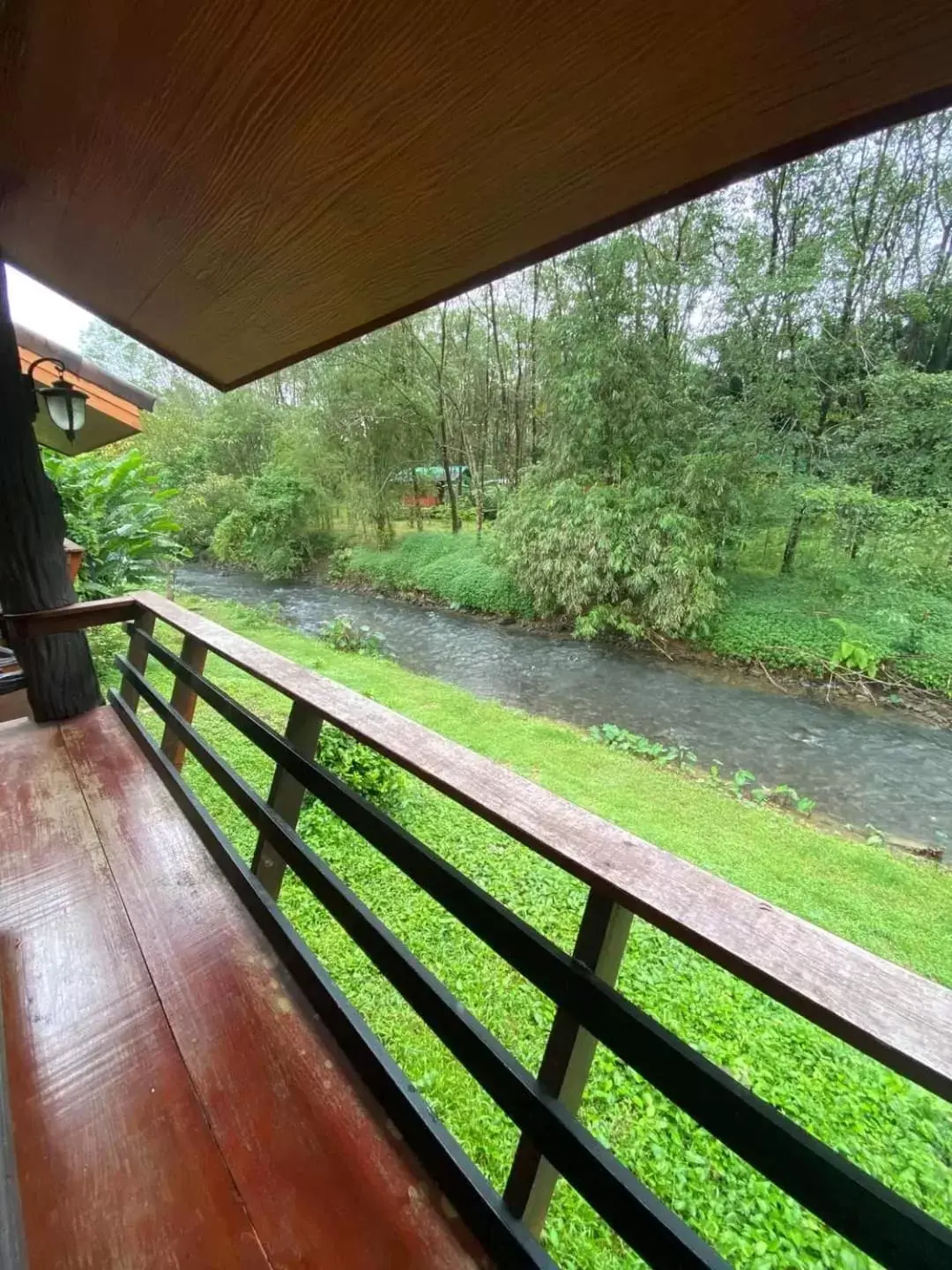 Balcony/Terrace in Khaosok Rainforest Resort