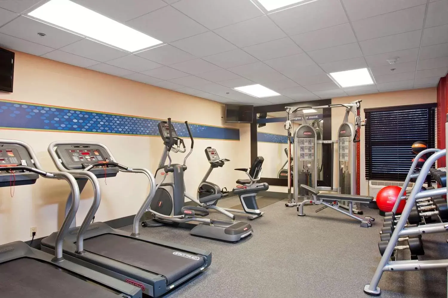Fitness centre/facilities, Fitness Center/Facilities in SureStay Plus Hotel by Best Western Stevensville St Joseph