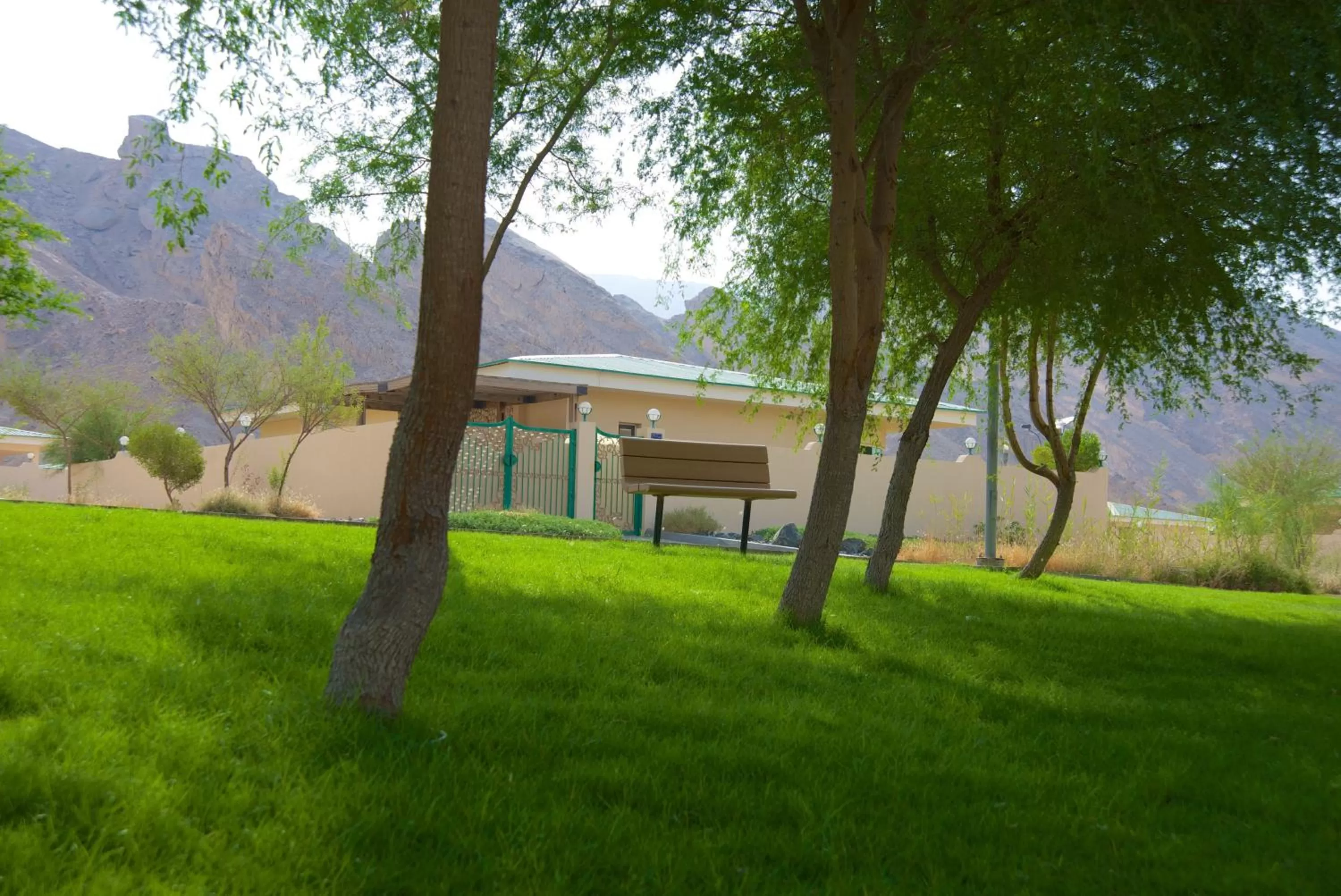 Day in Green Mubazzarah Chalets