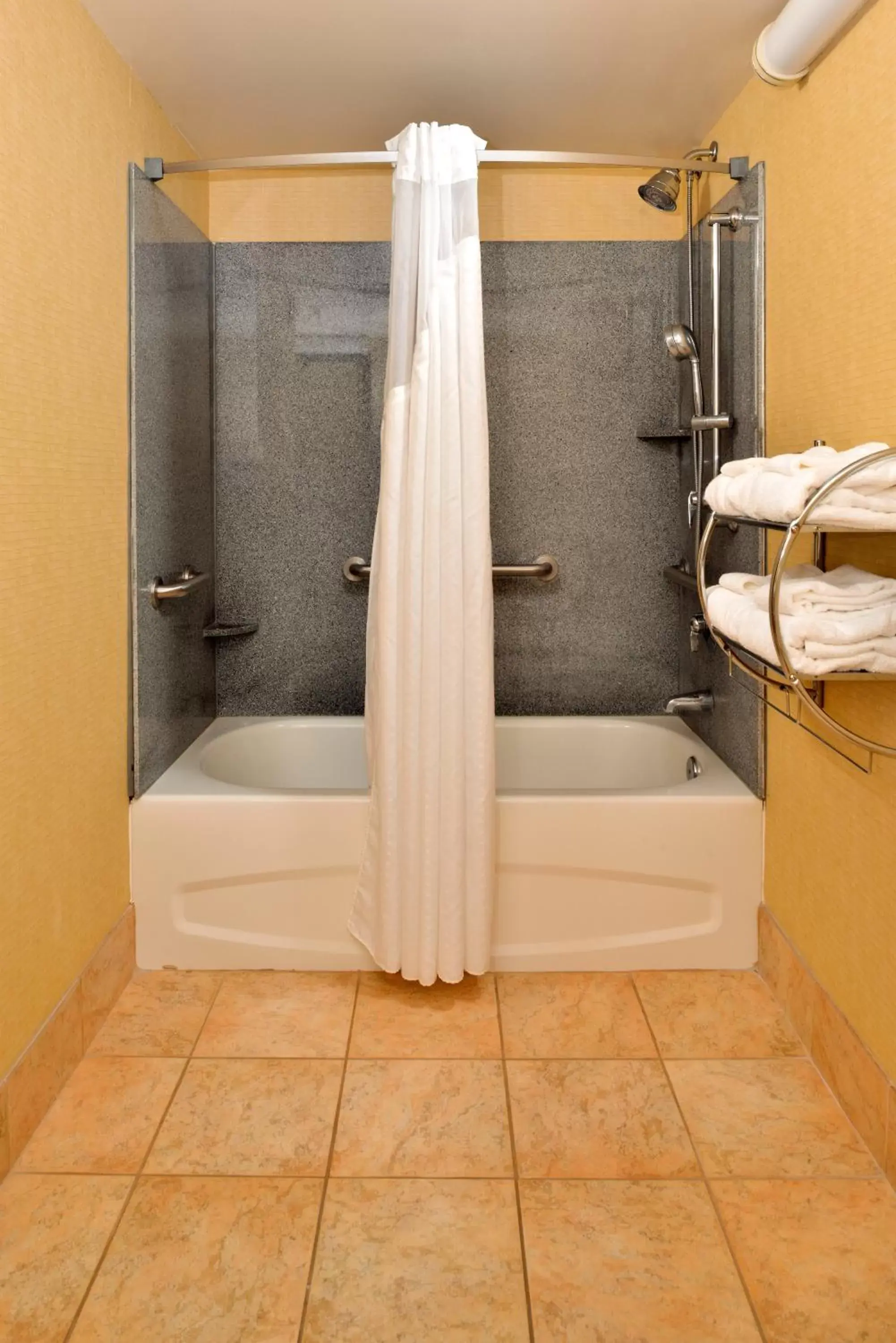 Photo of the whole room, Bathroom in Holiday Inn Martinsburg, an IHG Hotel