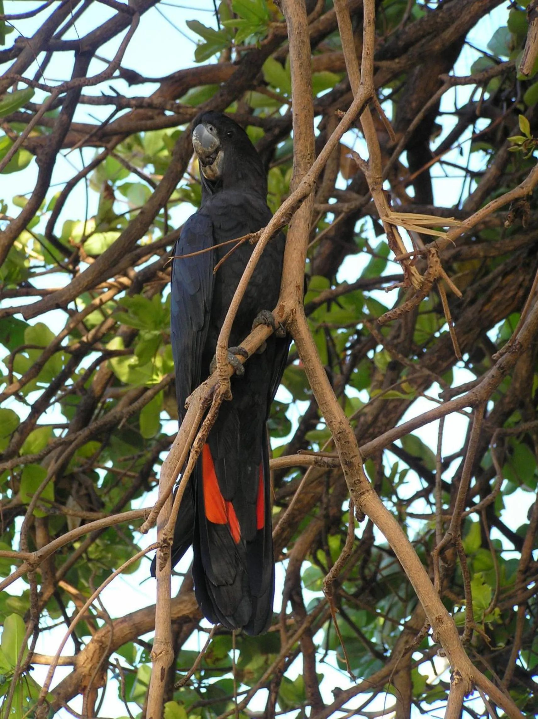 Area and facilities in Civic Guest House
