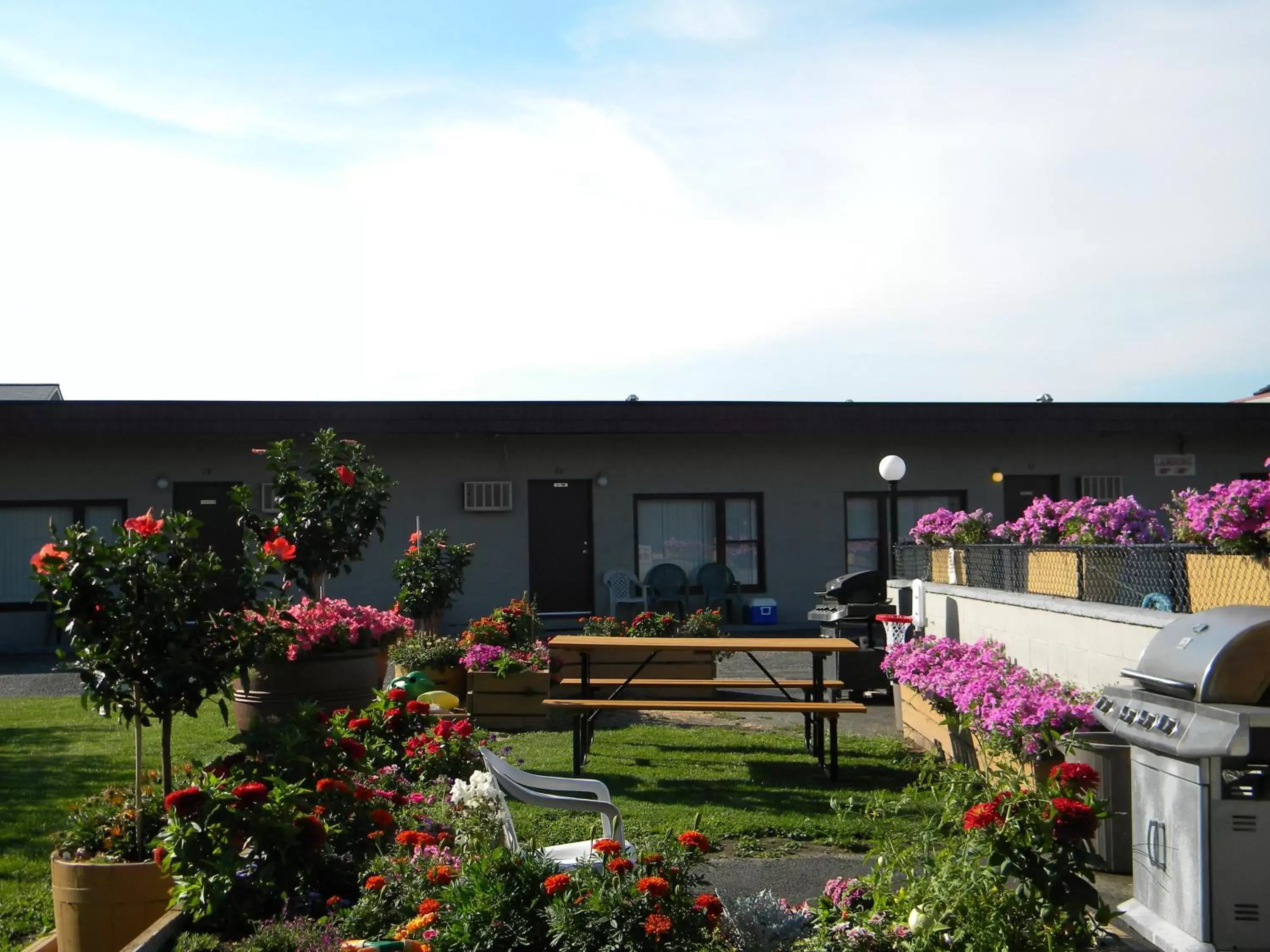 Garden in Apple Tree Inn