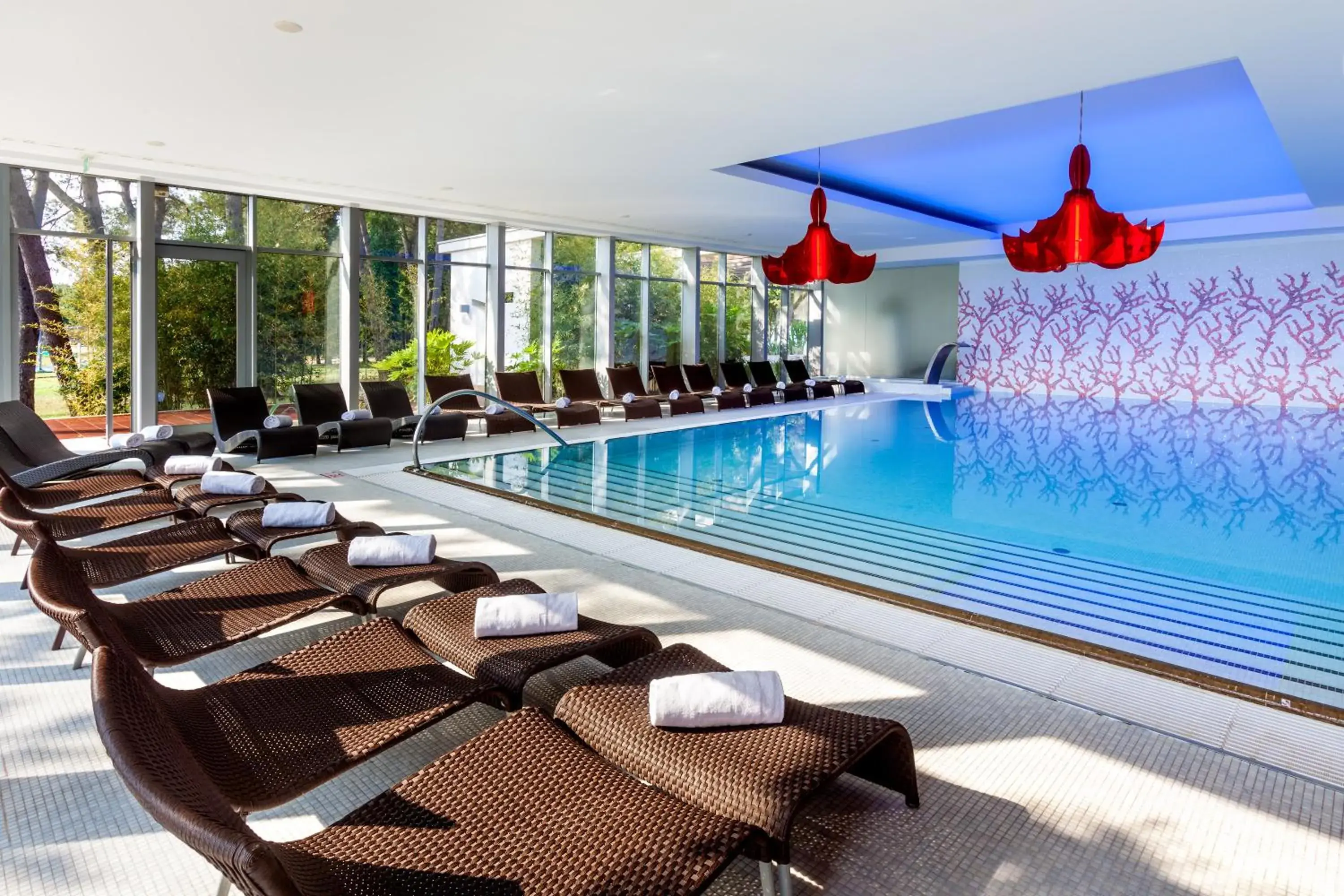 Swimming Pool in Hotel Melia Coral for Plava Laguna