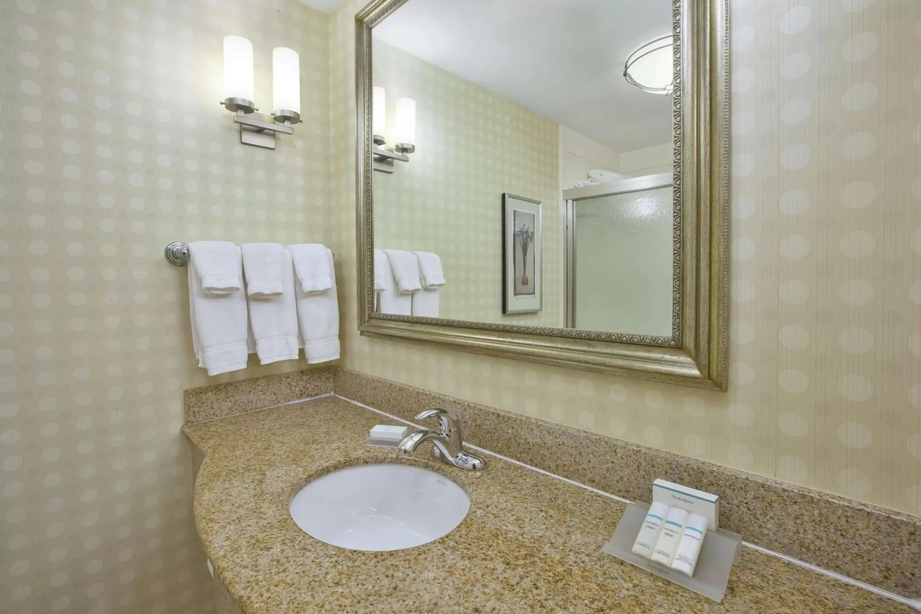 Bathroom in Hilton Garden Inn Clarksburg