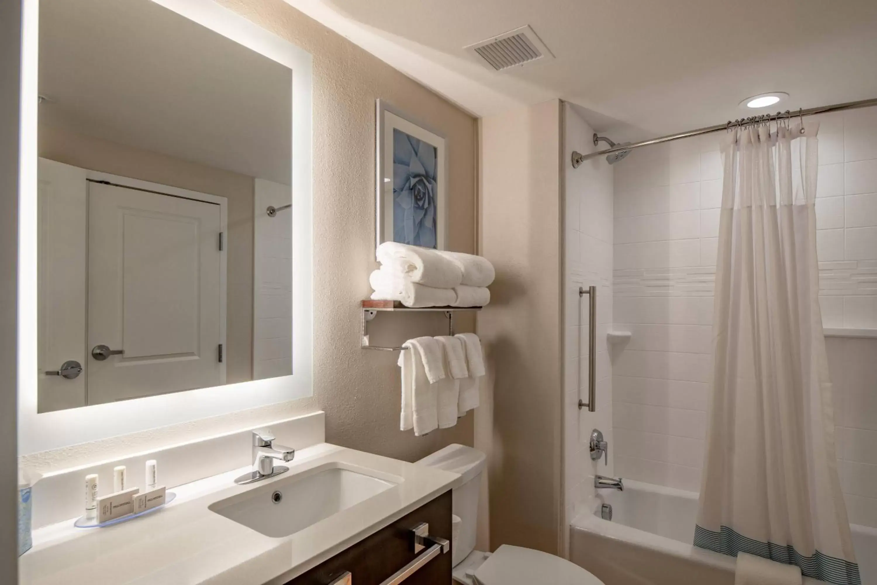 Bathroom in TownePlace Suites by Marriott Dallas Mesquite