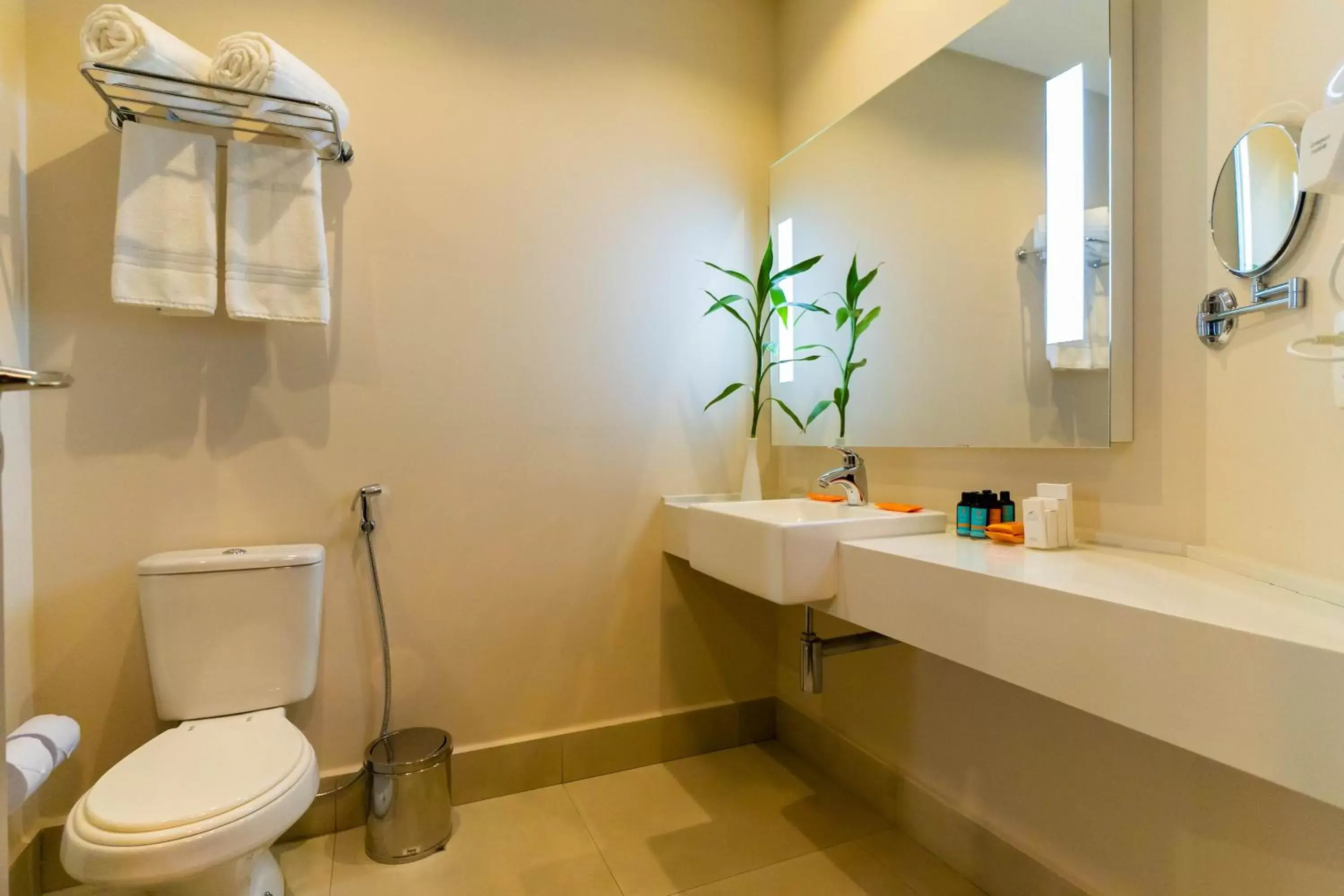 Bathroom in Royal Palm Tower Anhanguera