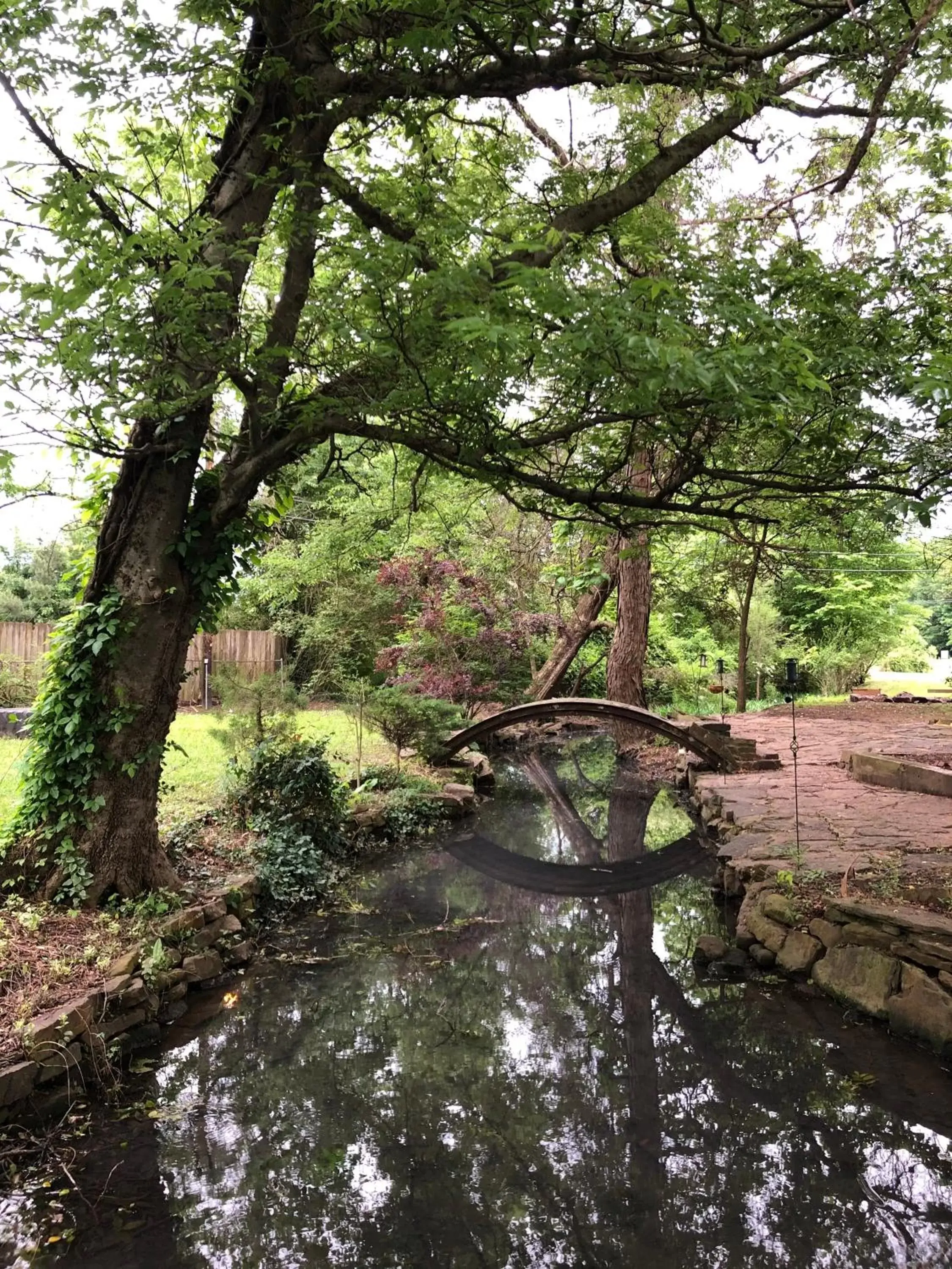 Natural Landscape in Beard and Lady Inn