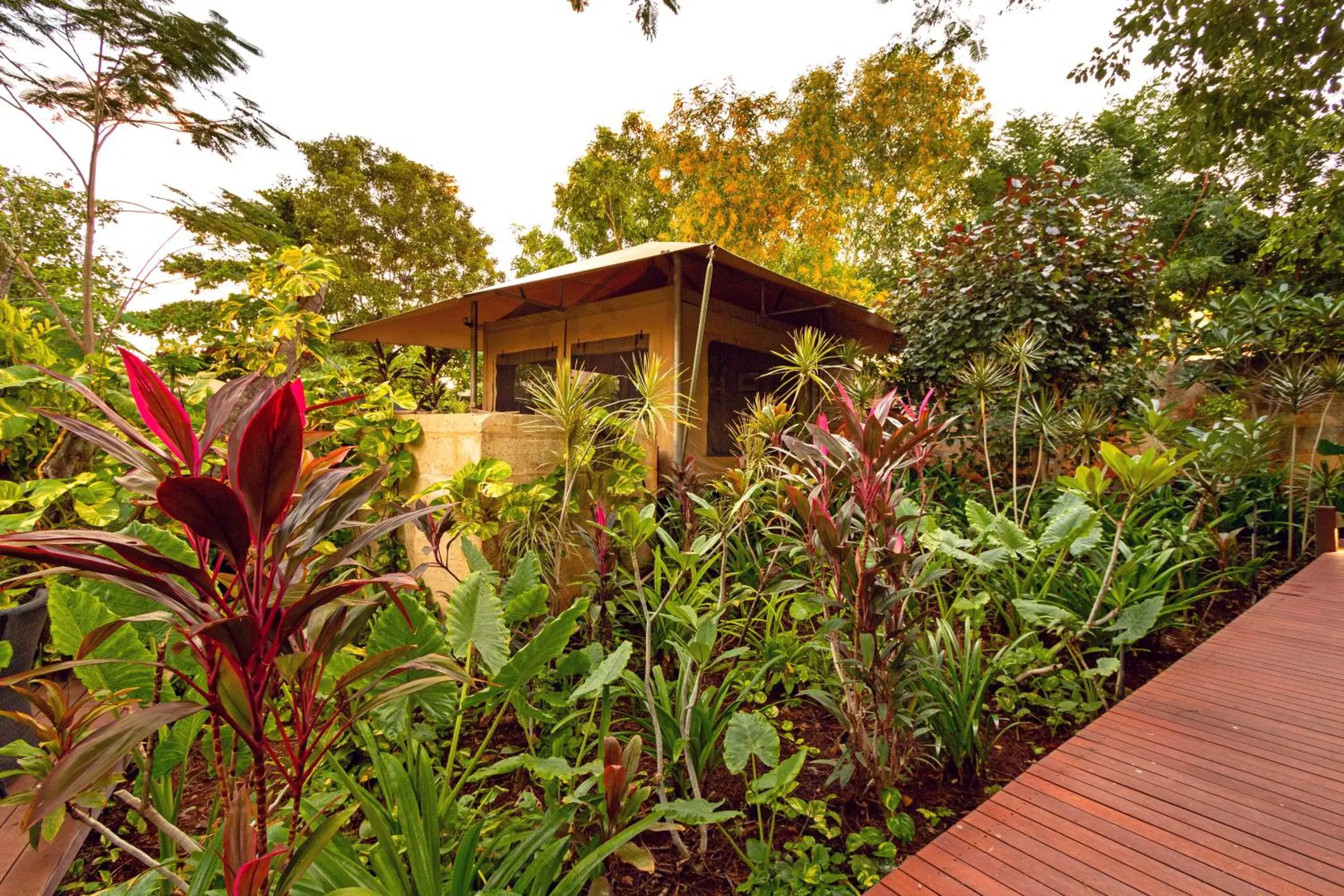 View (from property/room), Property Building in The Billi Resort