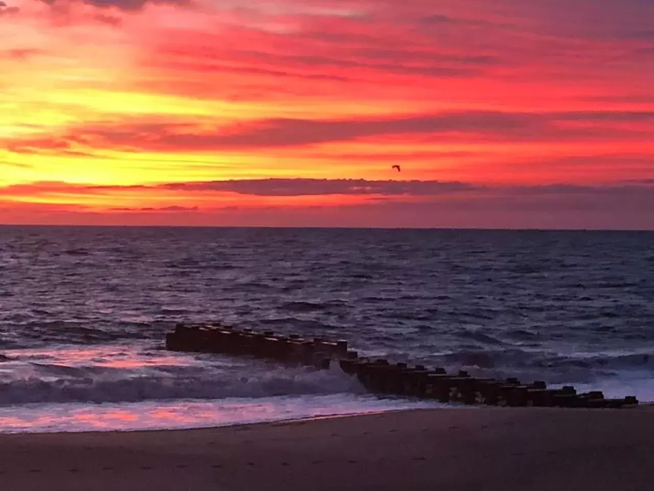 Beach, Sunrise/Sunset in Boardwalk Plaza Hotel