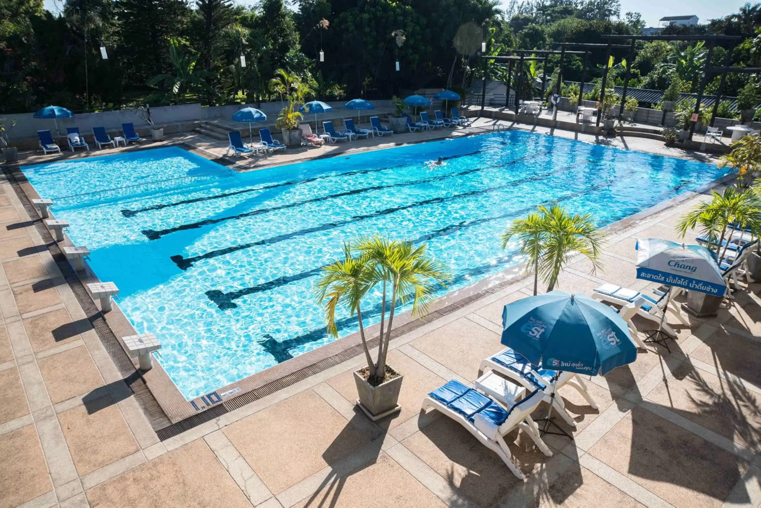 Swimming Pool in Eco Resort Chiang Mai