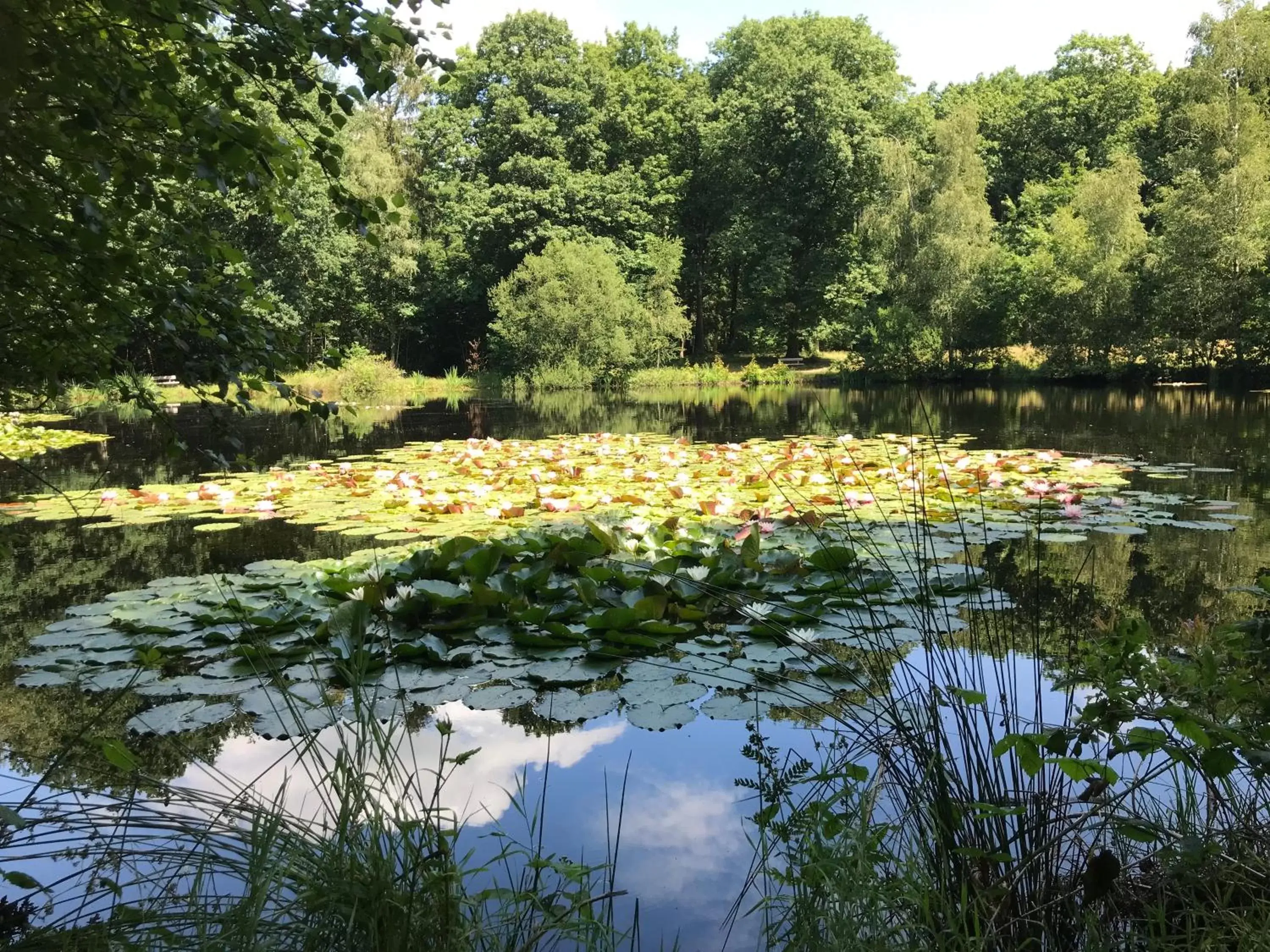 Natural landscape in Emmen bed and breakfast