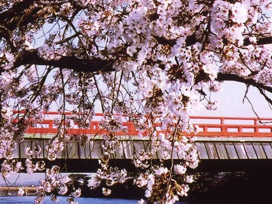 Off site, Property Building in Kyoto Uji Hanayashiki Ukifune-En