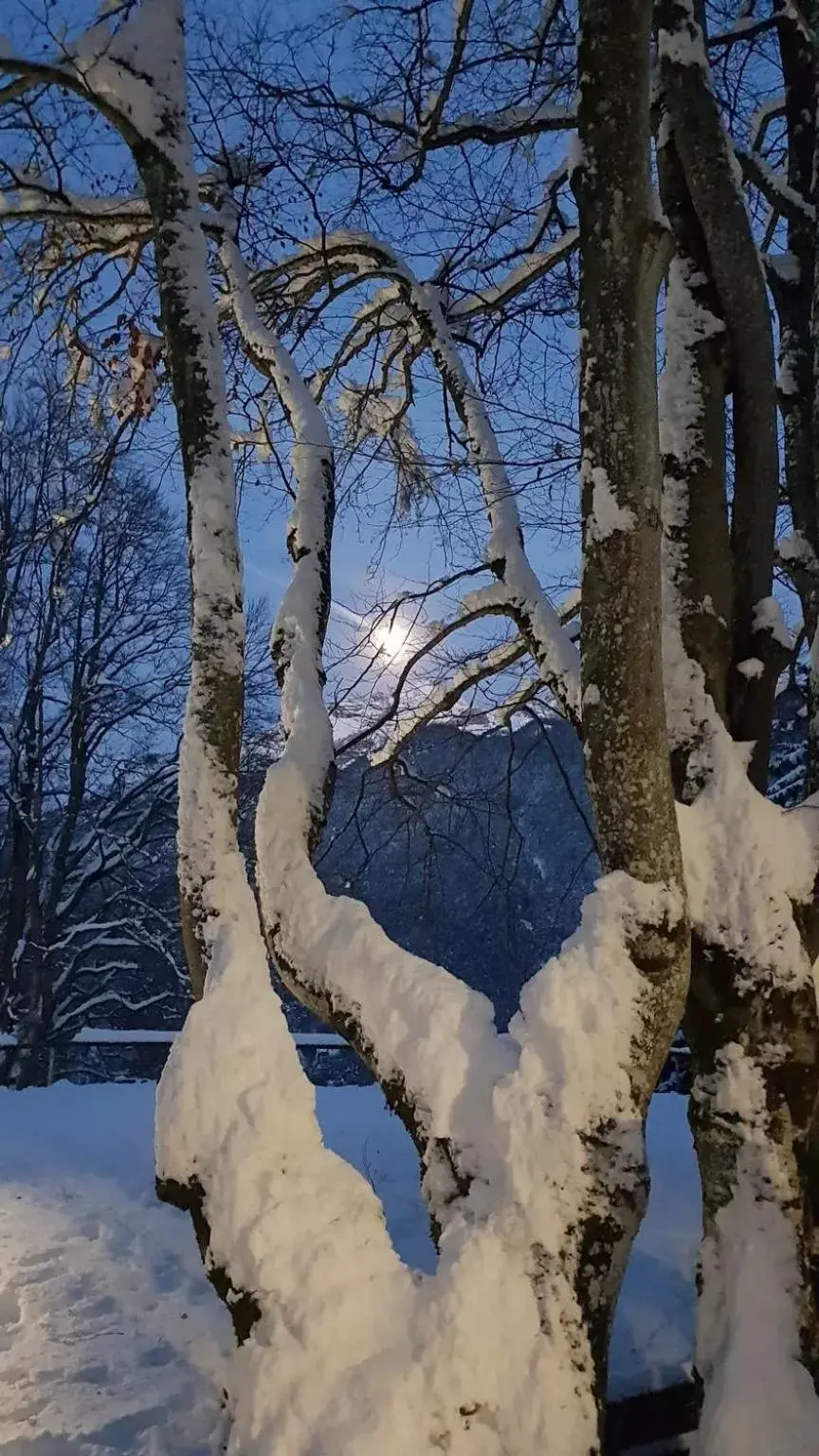 Natural landscape, Winter in Locanda ai Dogi