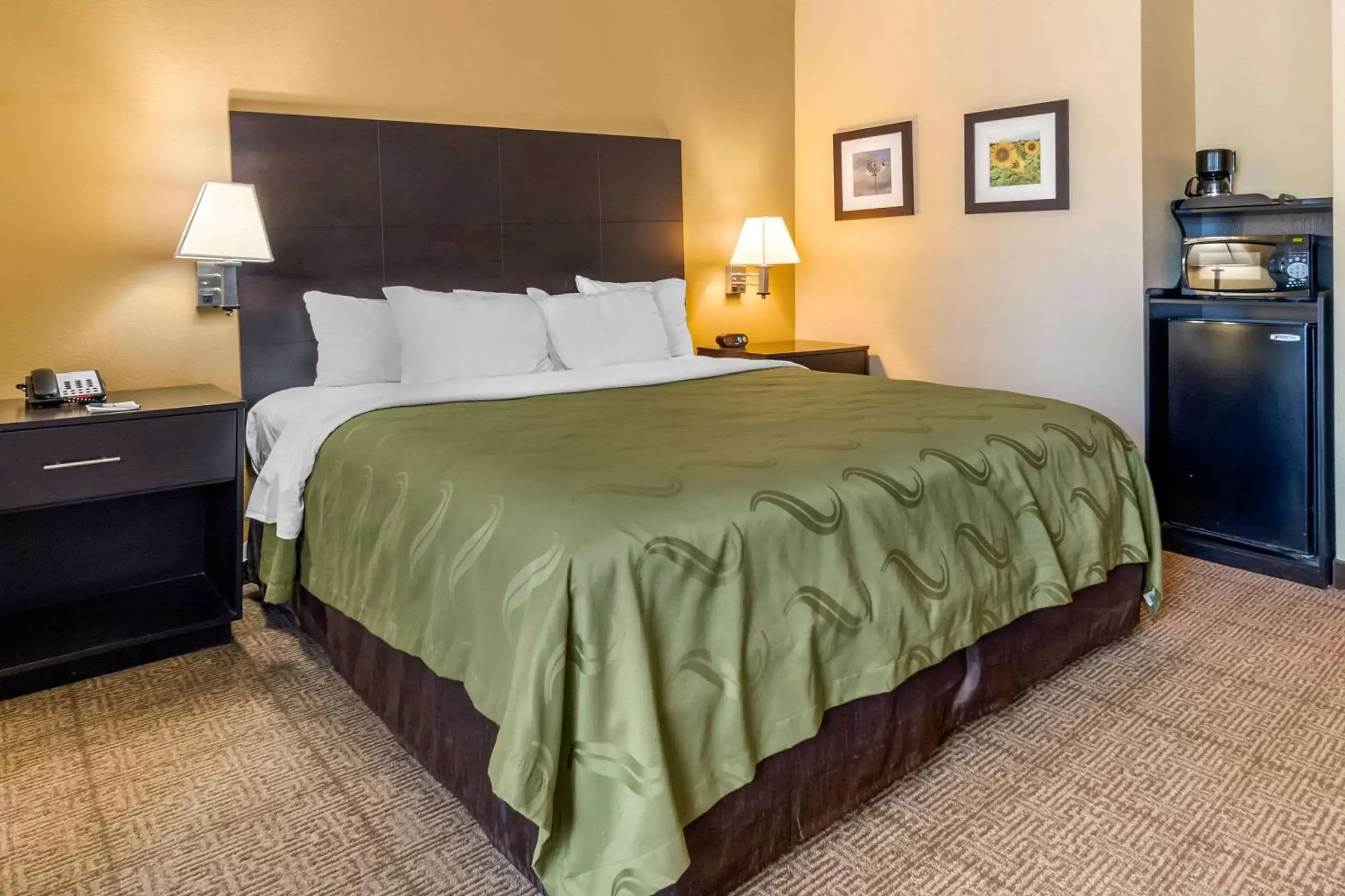 Photo of the whole room, Bed in Quality Inn & Suites Lenexa Kansas City