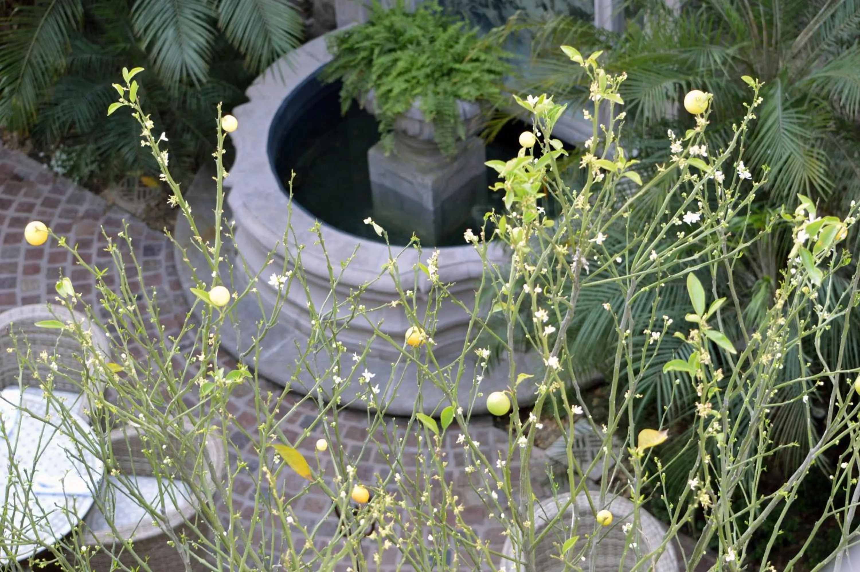 Patio in Hotel Casa Blanca 7