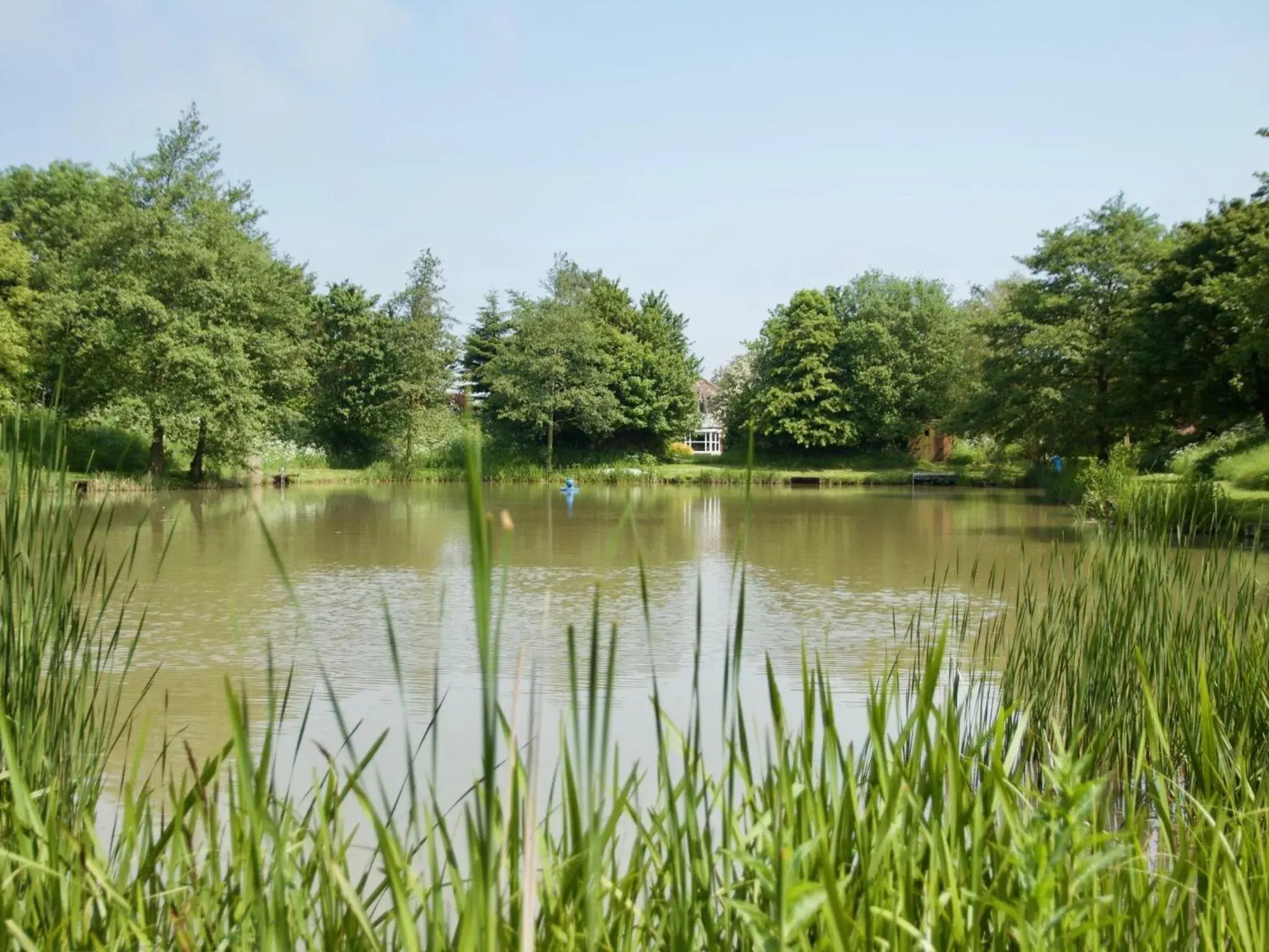 Activities, Lake View in The Chestnuts Holiday Cottages