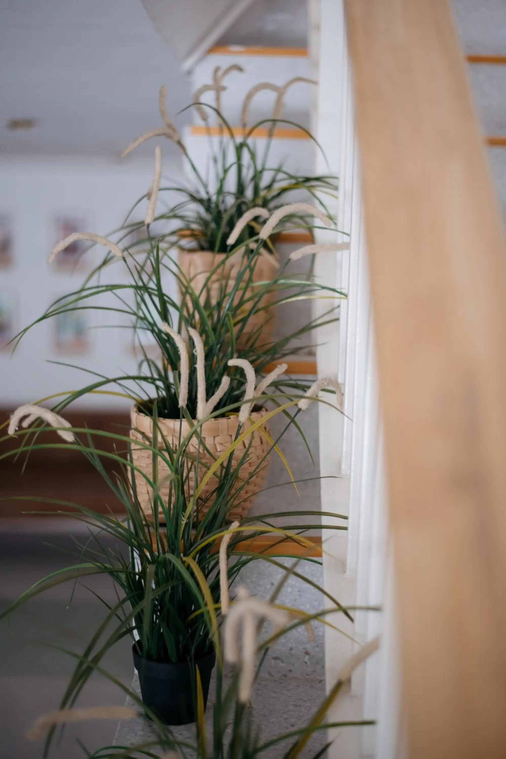 Decorative detail in Lamoon Boutique Hotel