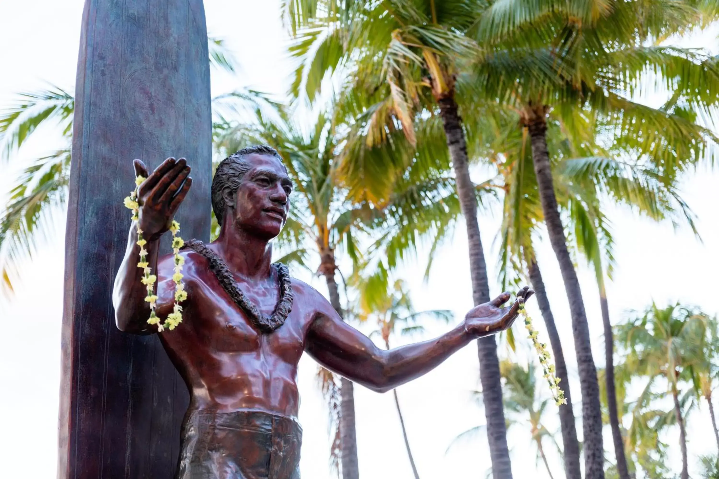 Nearby landmark, Other Activities in Wayfinder Waikiki
